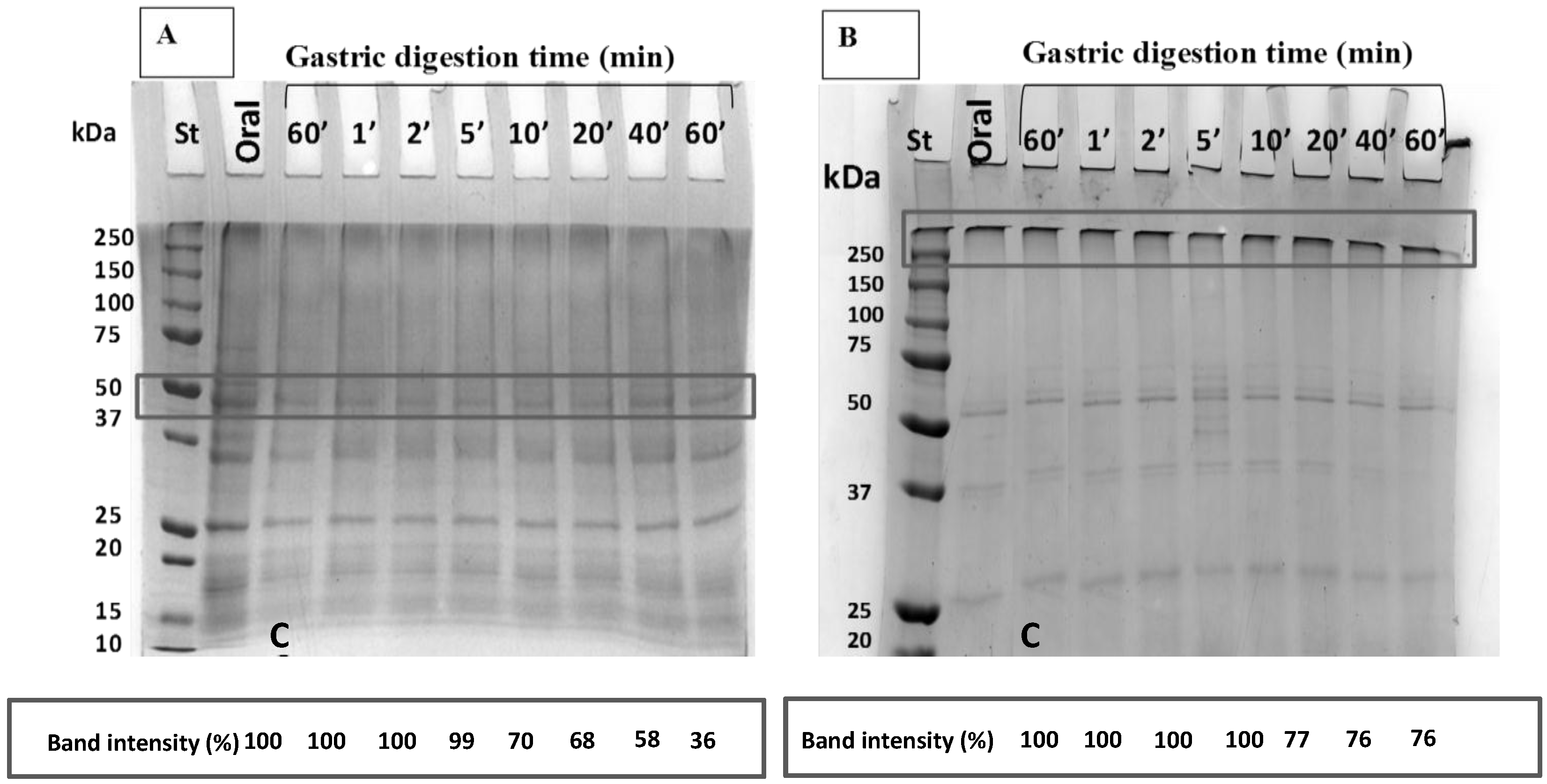 Coatings 08 00435 g004 Coatings 08 00435 g004