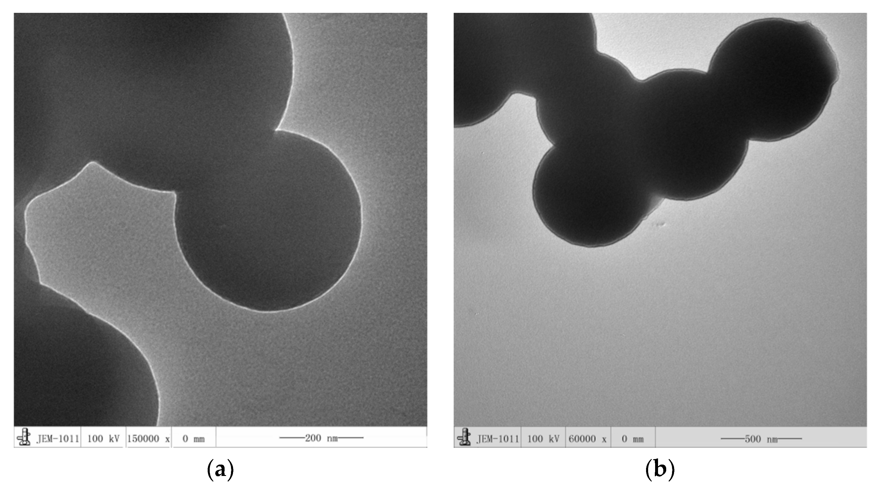 Coatings 08 00439 g003