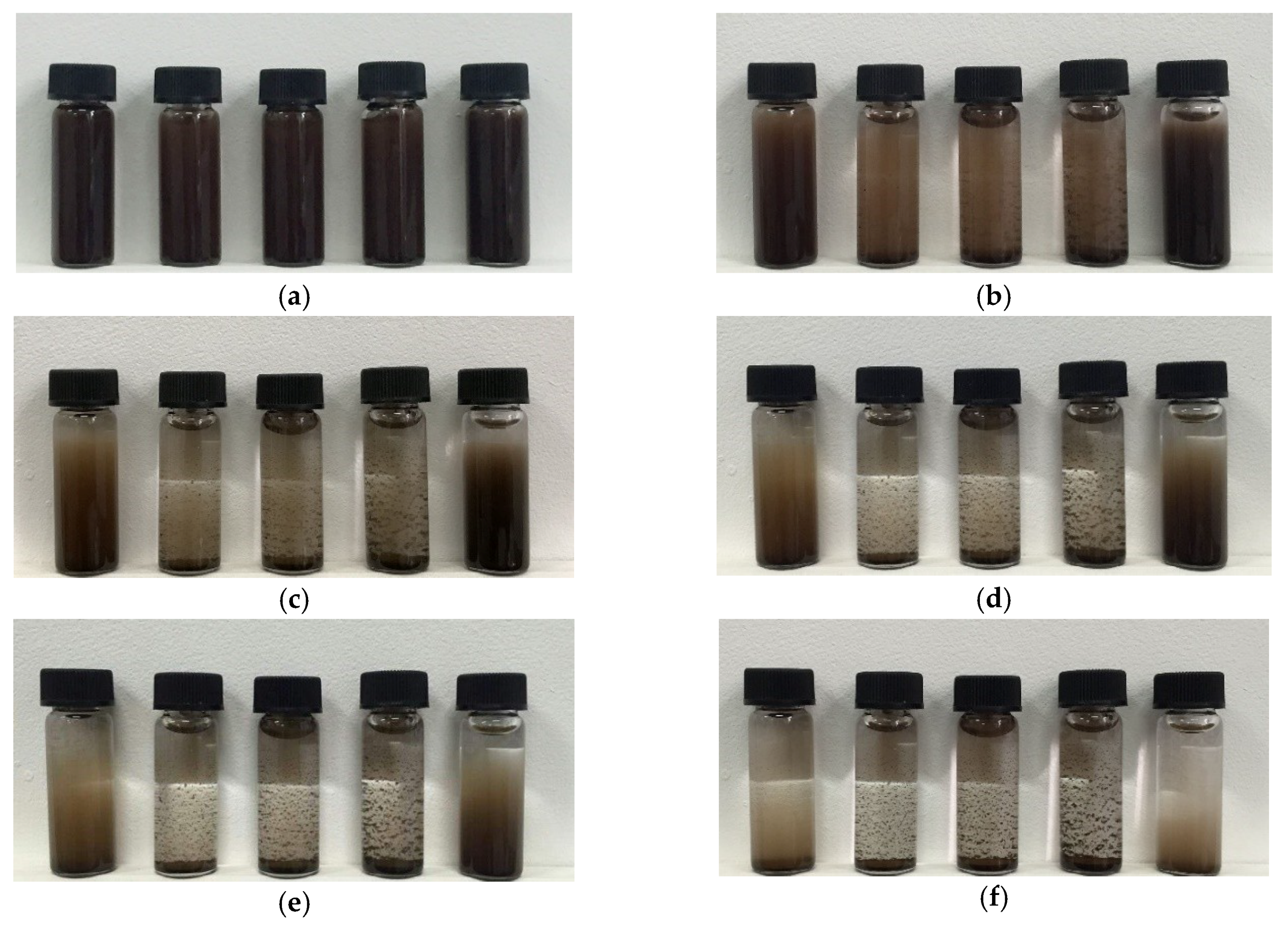 Coatings 08 00439 g008