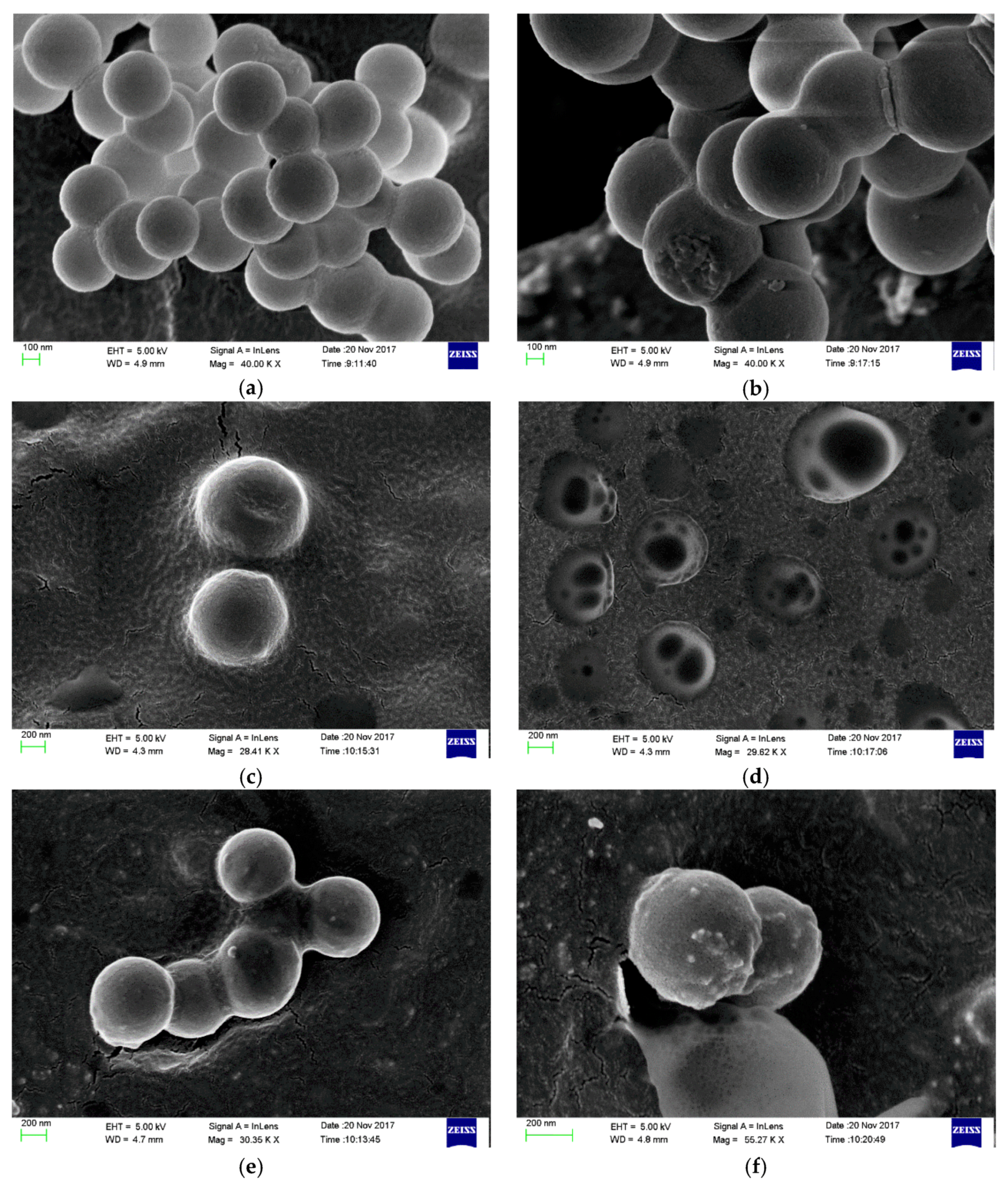Coatings 08 00439 g013
