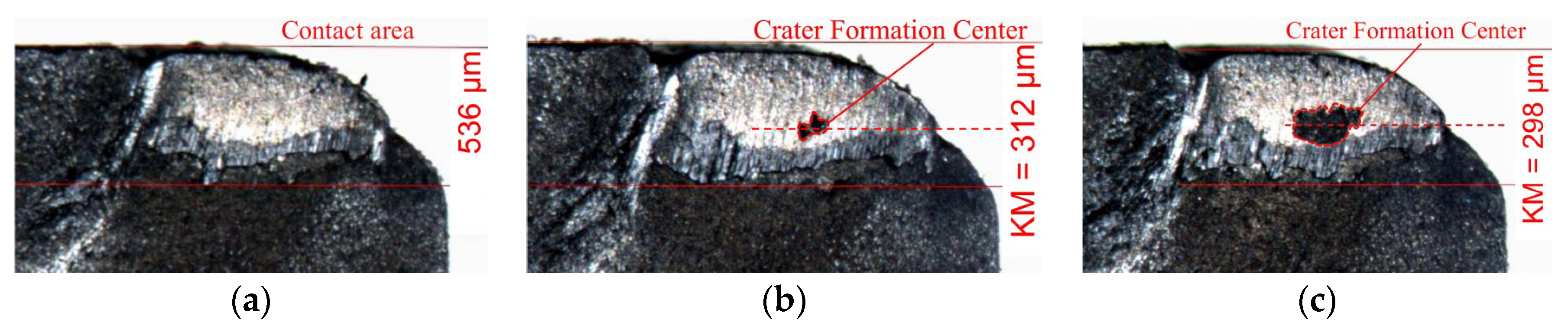 Coatings 08 00447 g008