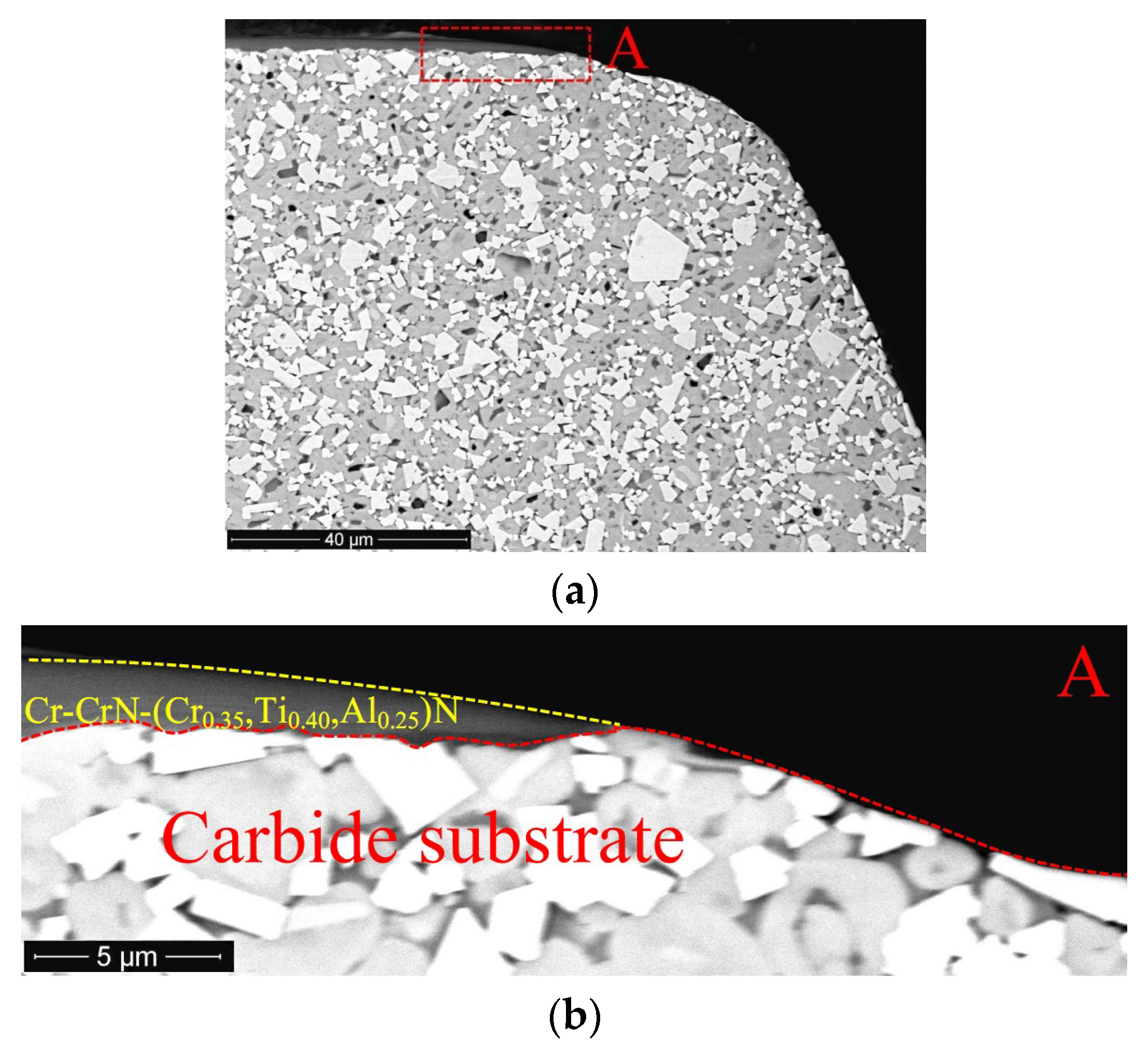 Coatings 08 00447 g011