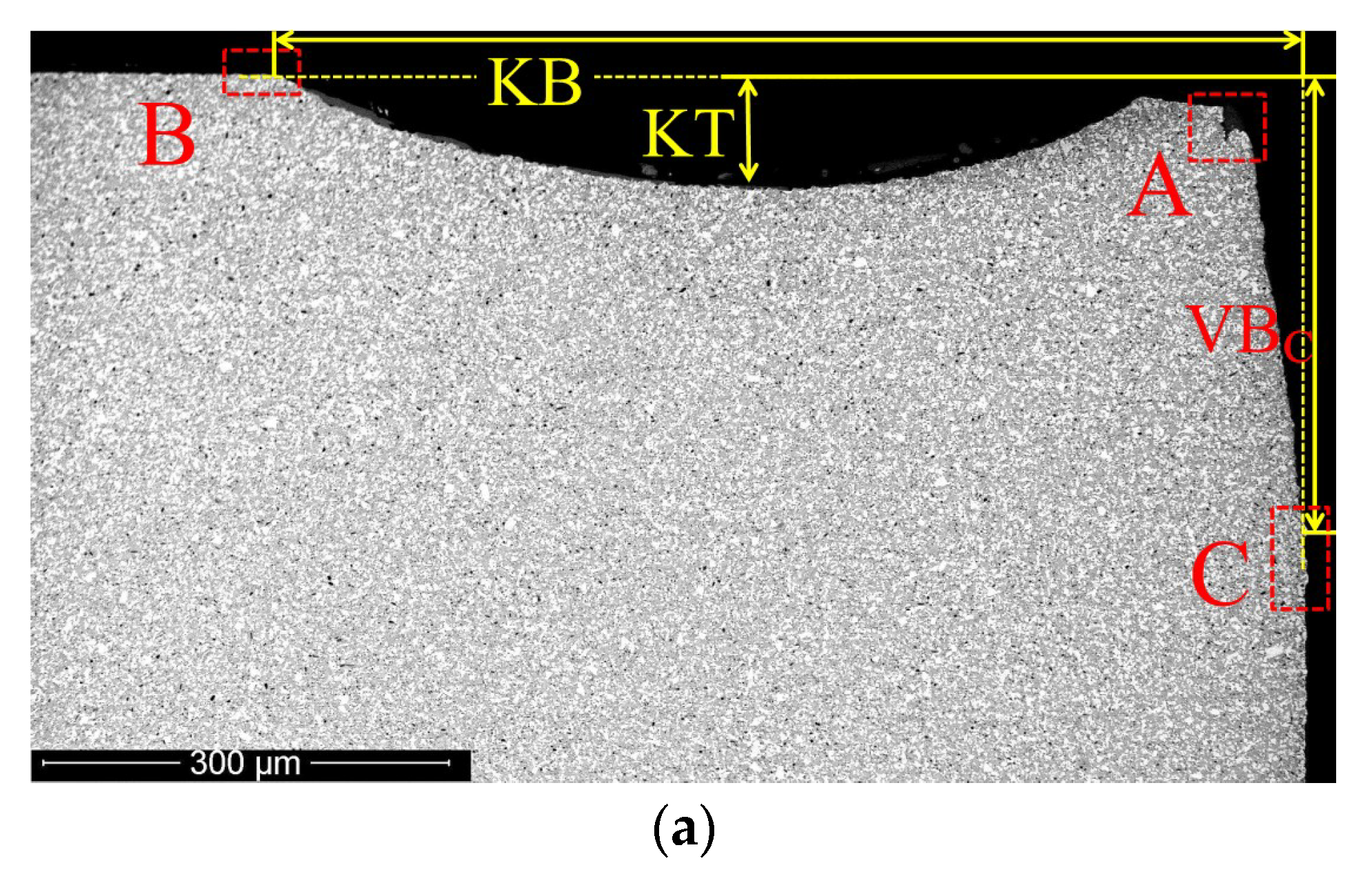 Coatings 08 00447 g012a