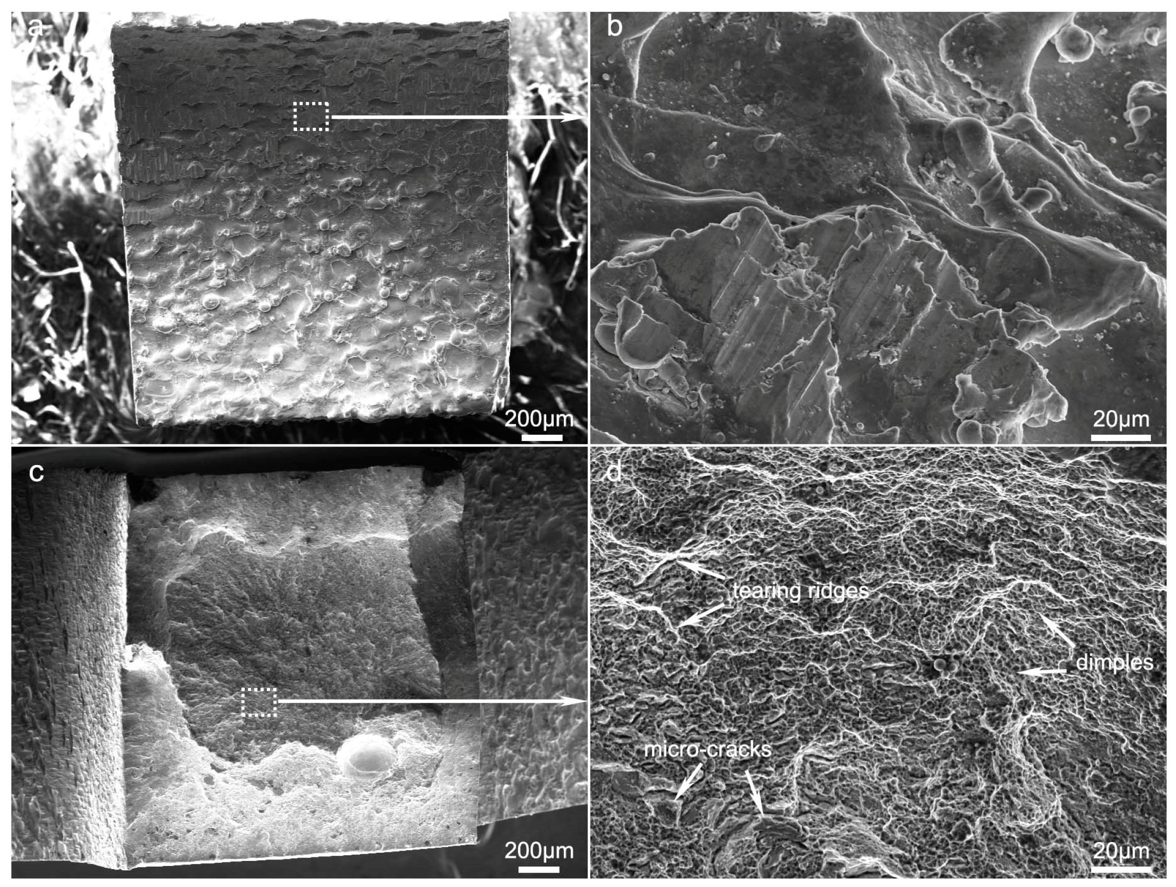 Coatings 08 00451 g007