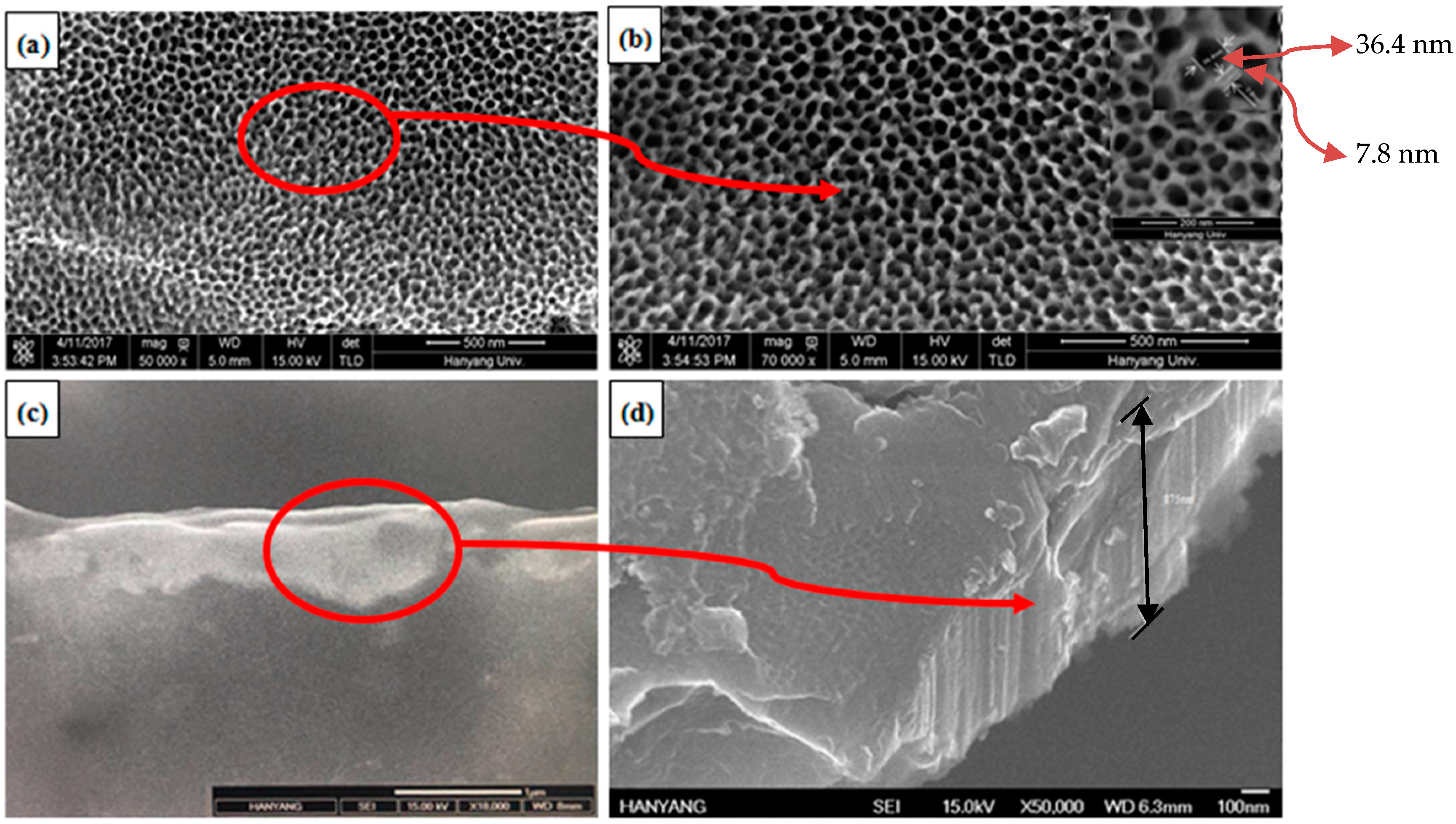 Coatings 08 00459 g003