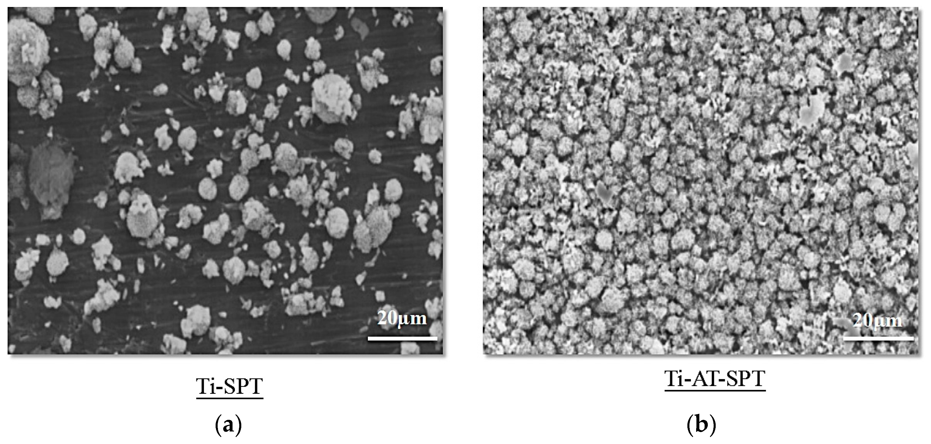 Coatings 09 00003 g003