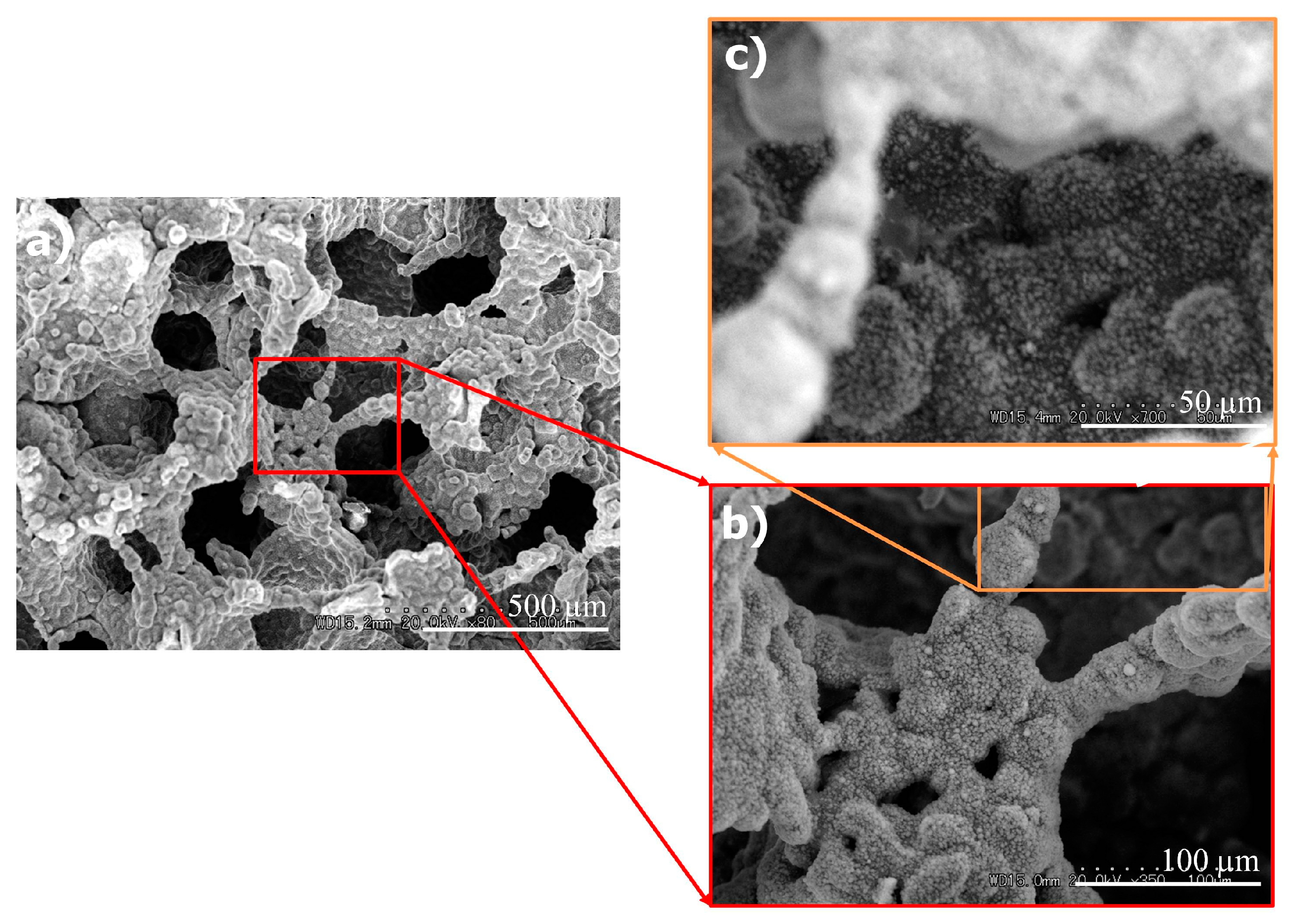 Coatings 09 00003 g004