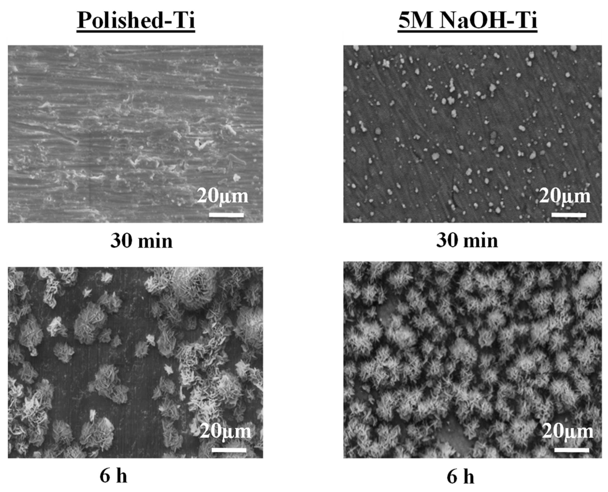 Coatings 09 00003 g007a
