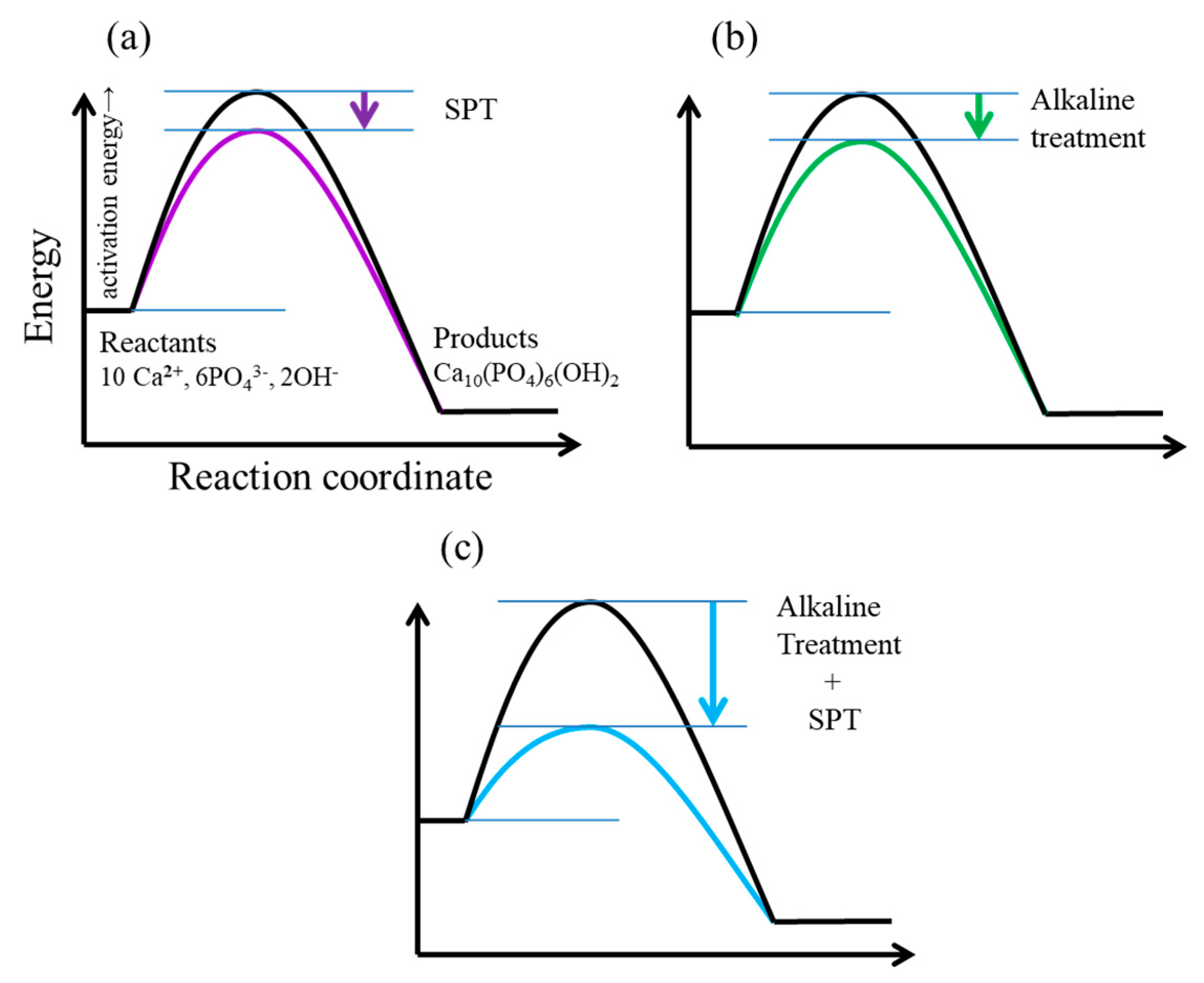 Coatings 09 00003 g011