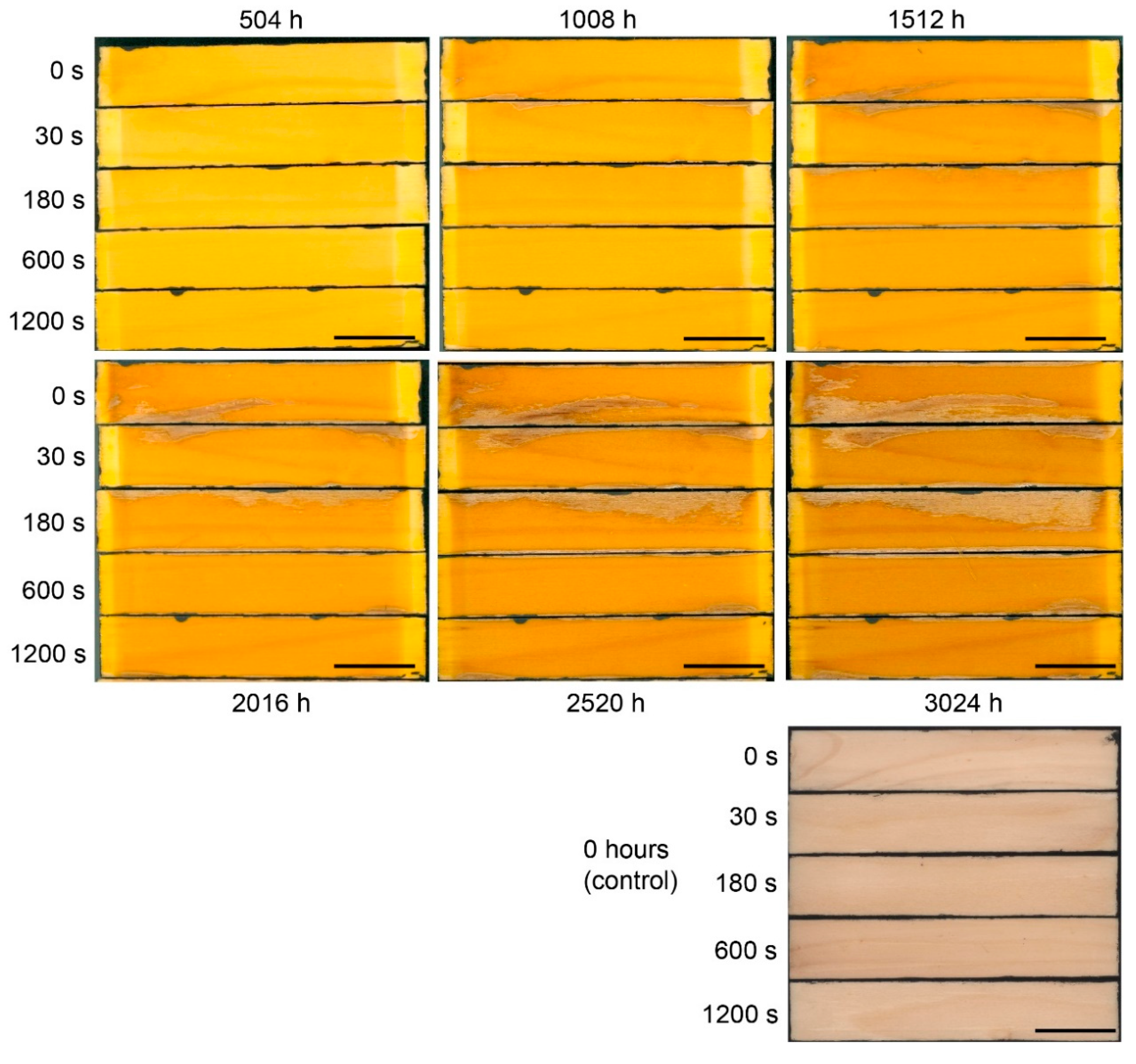 Coatings 09 00008 g005