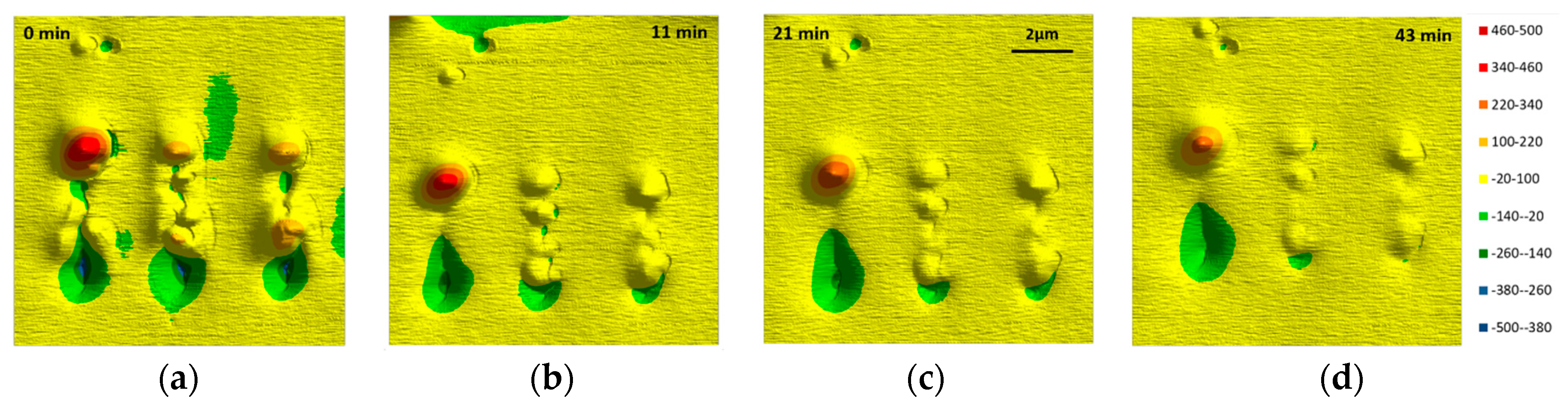 Coatings 09 00013 g0a3