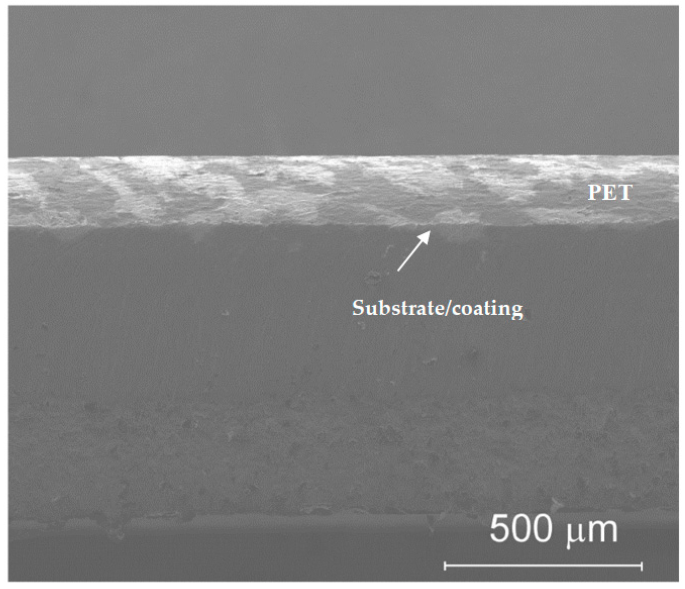 Coatings 09 00028 g002