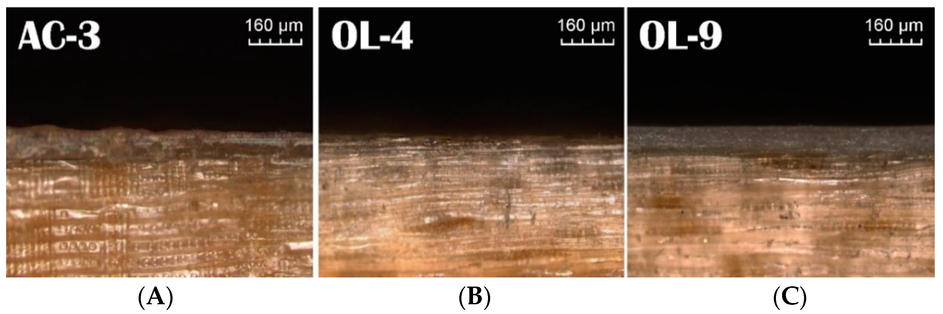 Coatings 09 00039 g001
