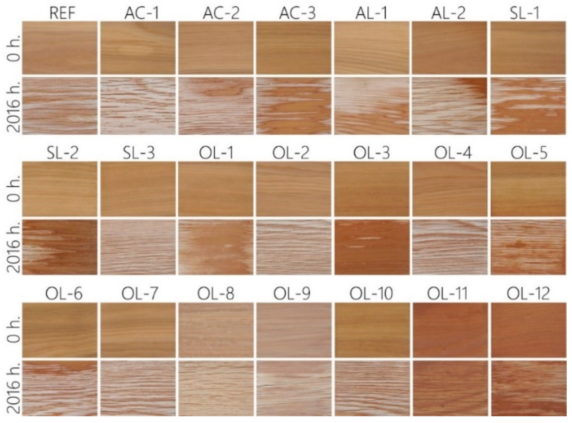 Coatings 09 00039 g007