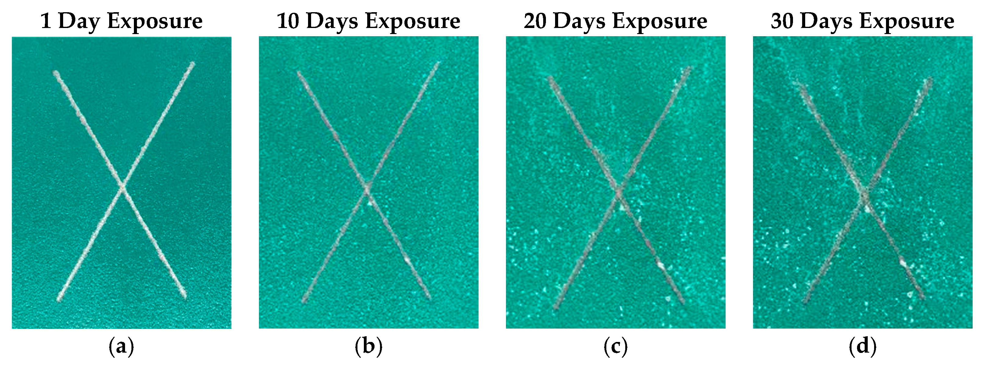 Coatings 09 00052 g002