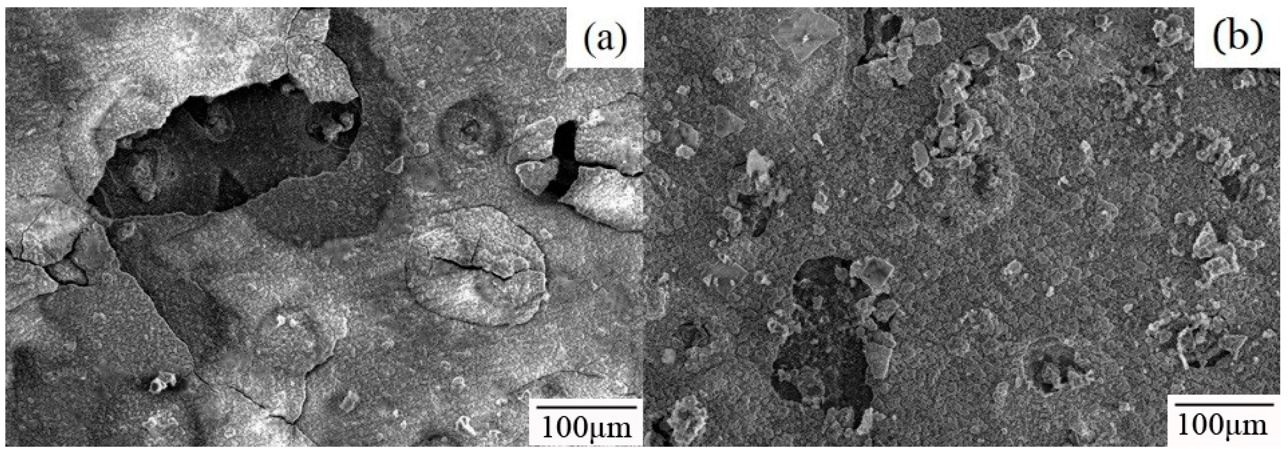 Coatings 09 00199 g009