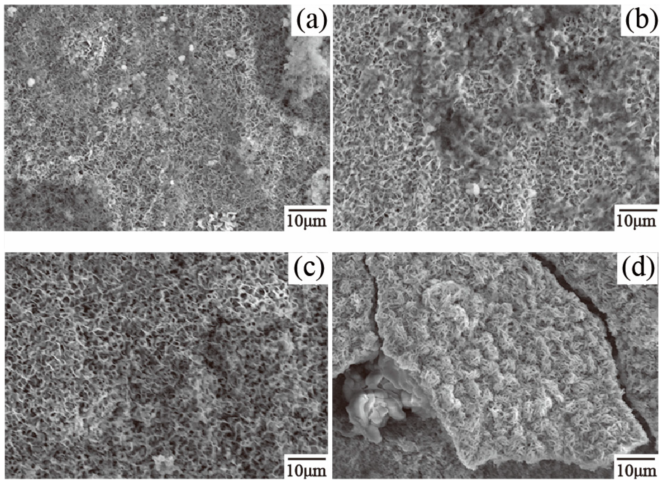 Coatings 09 00199 g011