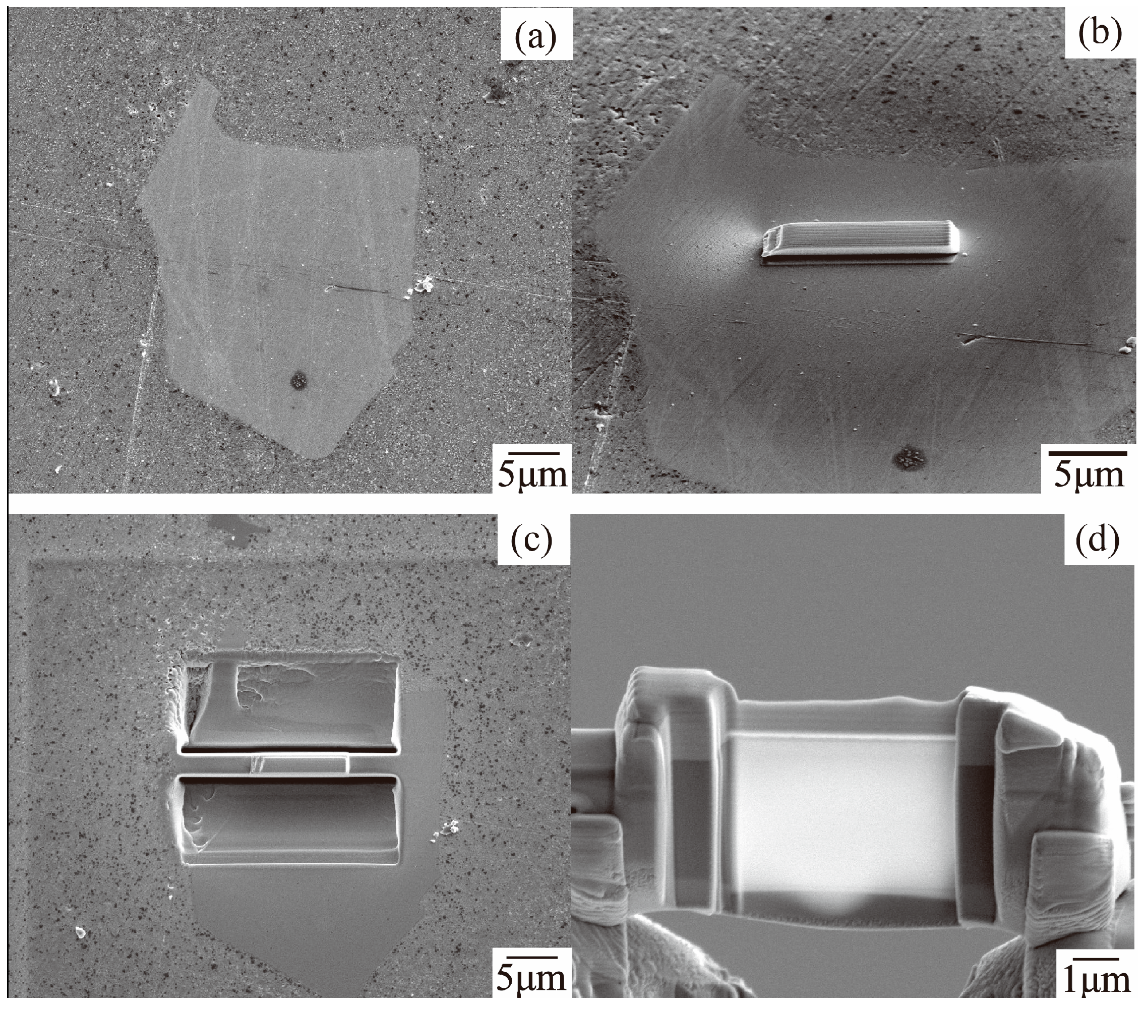 Coatings 09 00199 g013