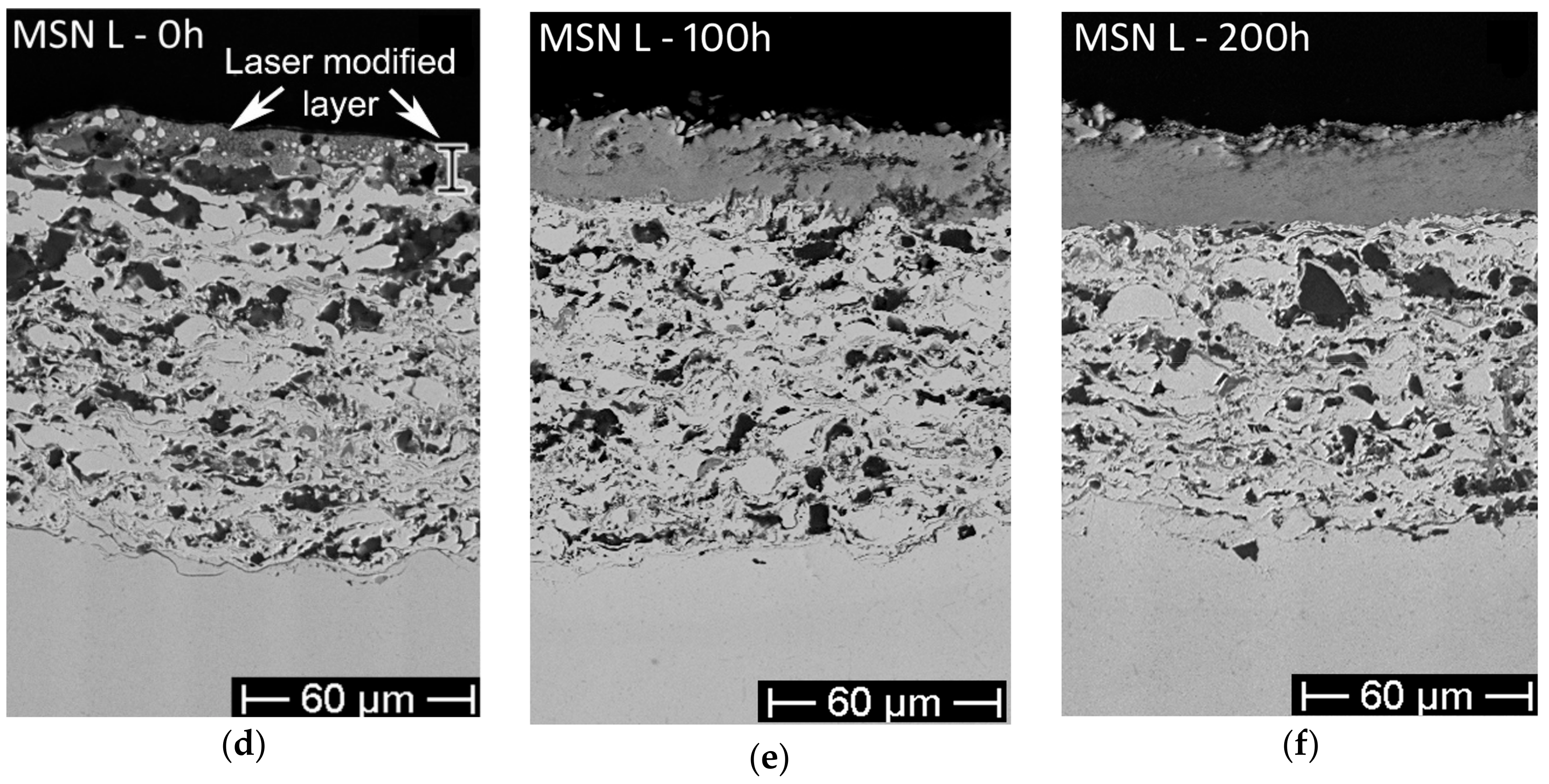 Coatings 09 00347 g005b