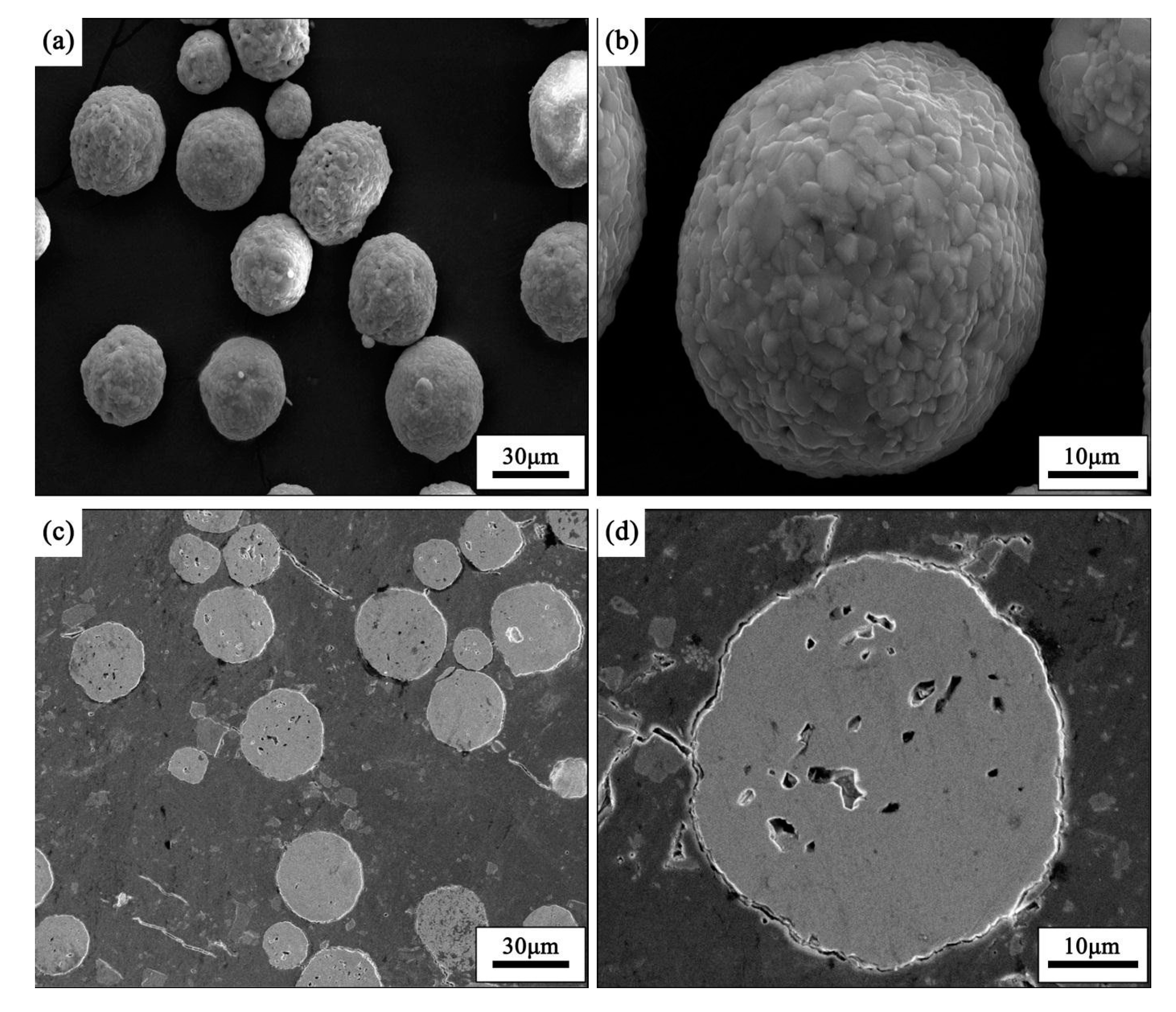 Coatings 09 00431 g003