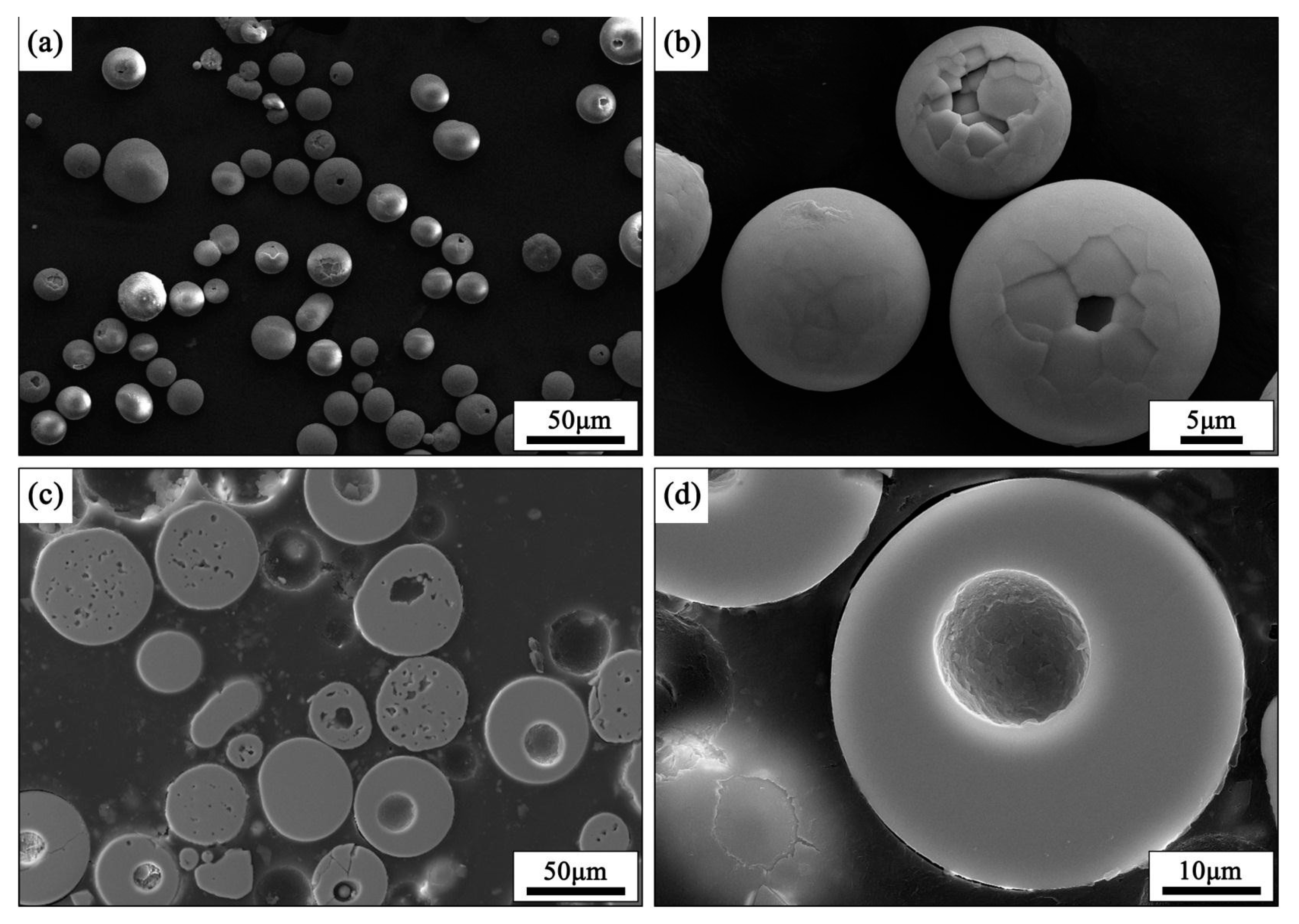 Coatings 09 00431 g004