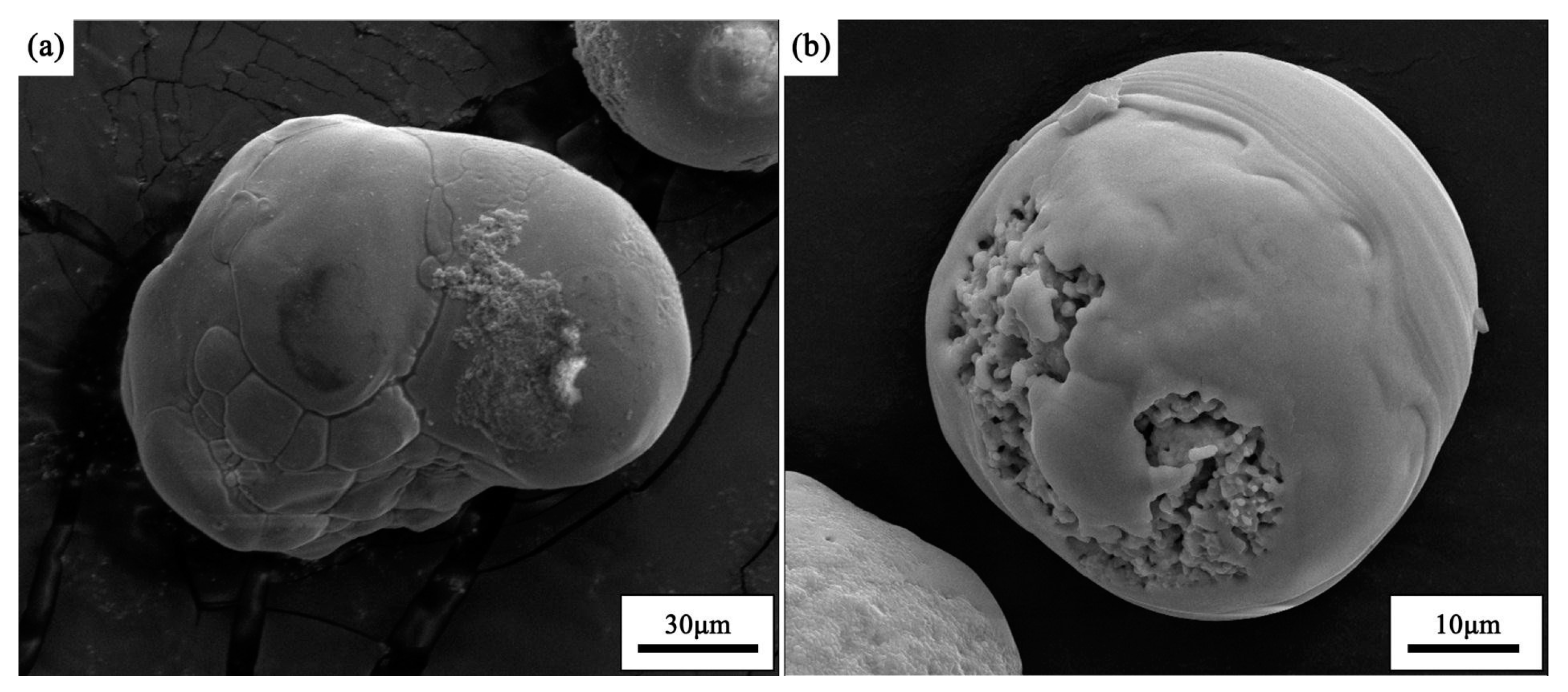 Coatings 09 00431 g005