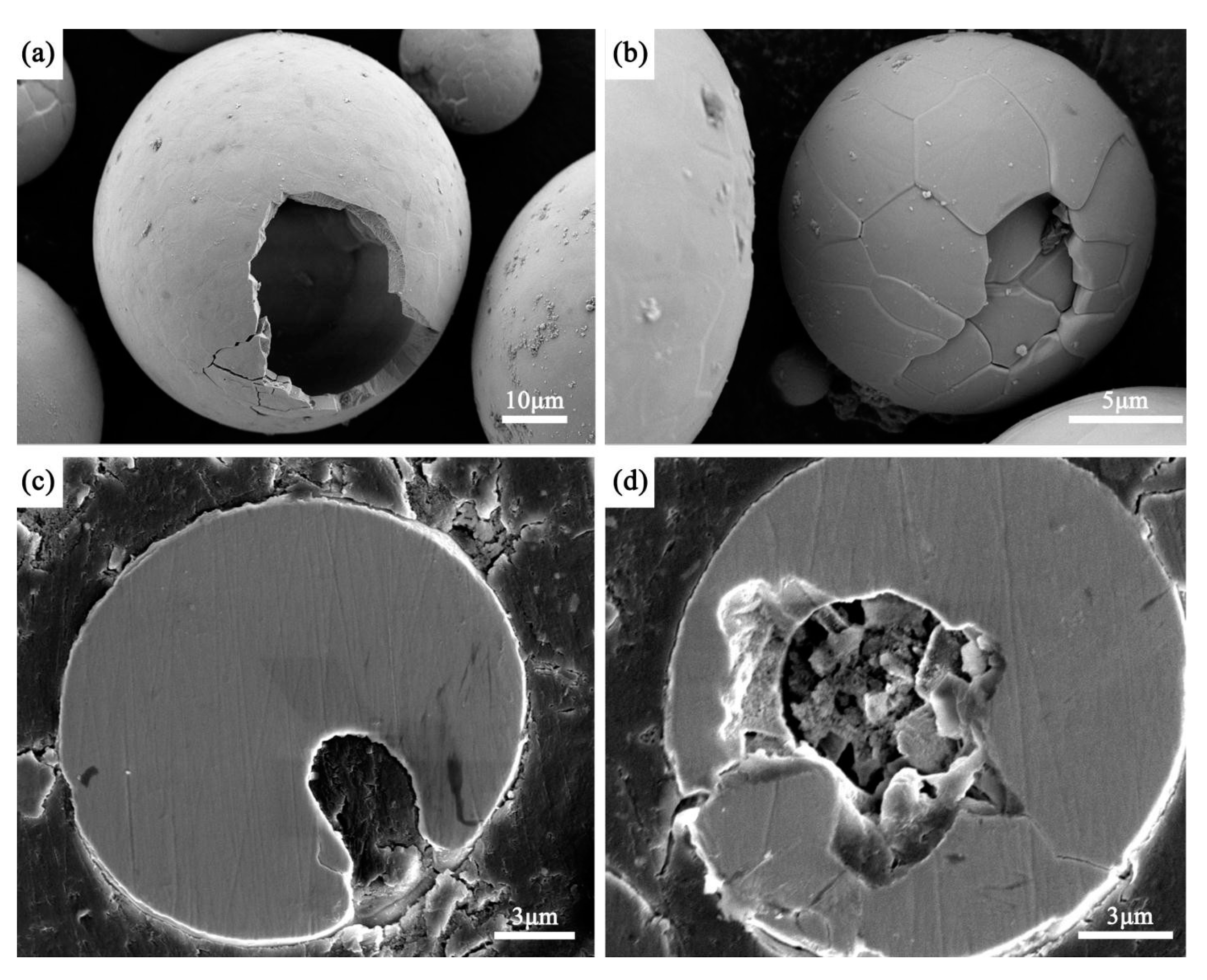Coatings 09 00431 g010