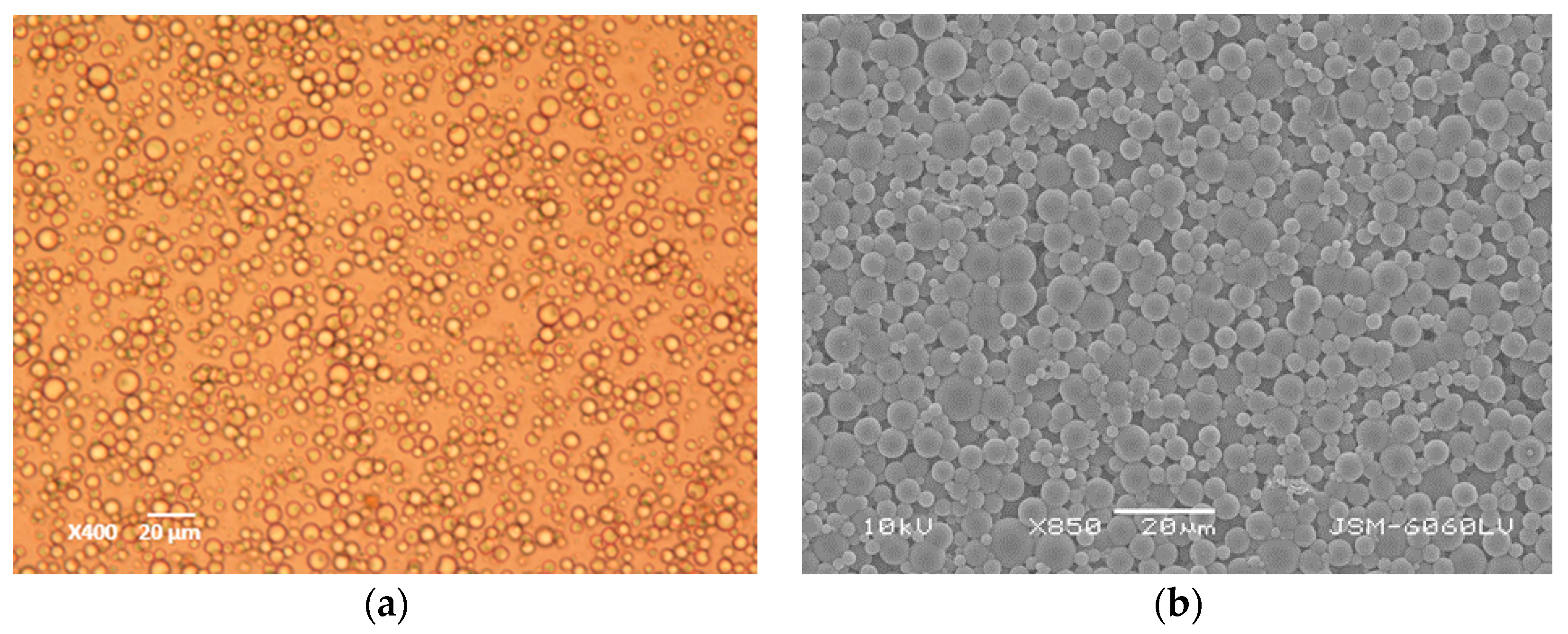 Coatings 09 00470 g005