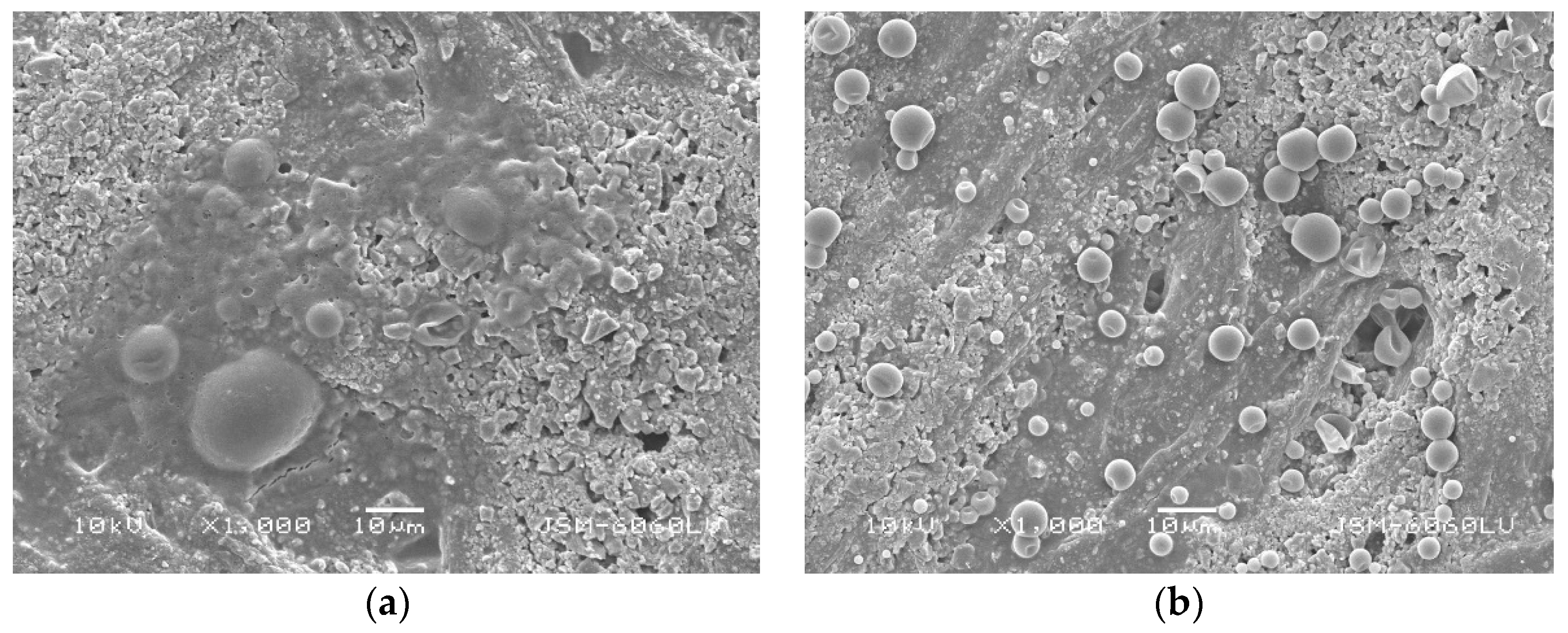 Coatings 09 00470 g007
