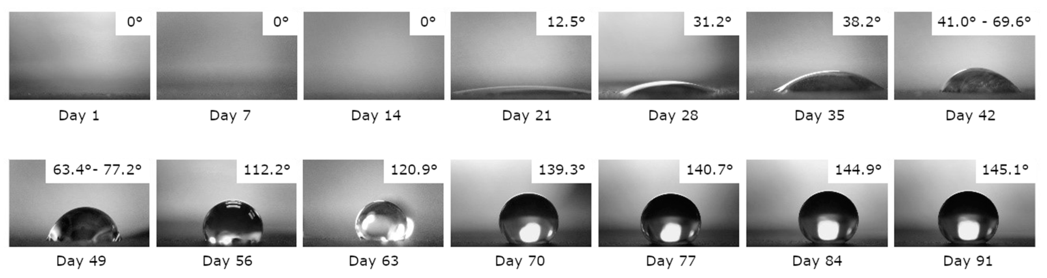 Coatings 09 00592 g003