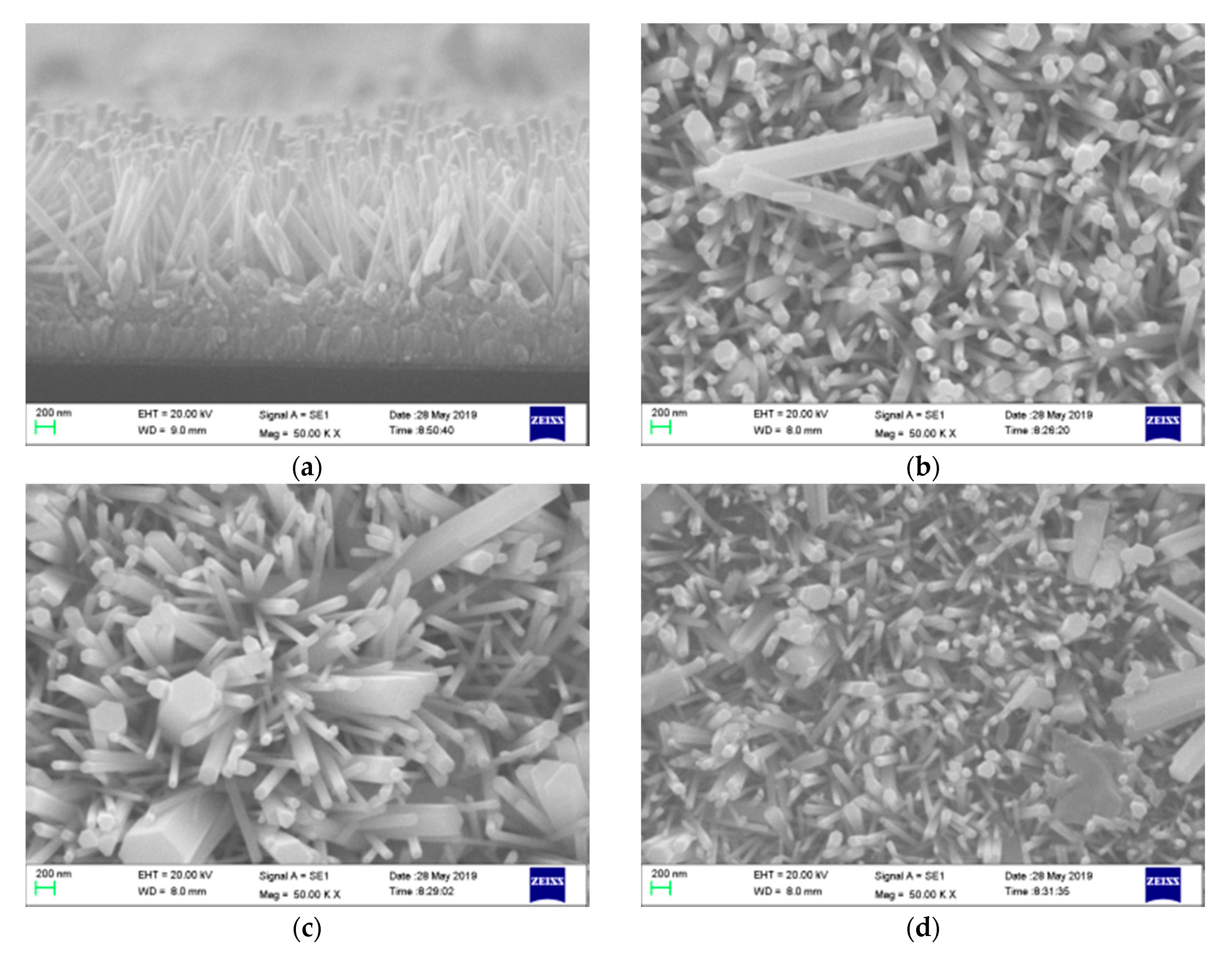 Coatings 09 00803 g002a