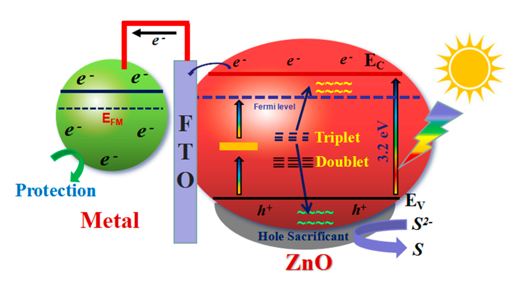 Coatings 09 00803 g008