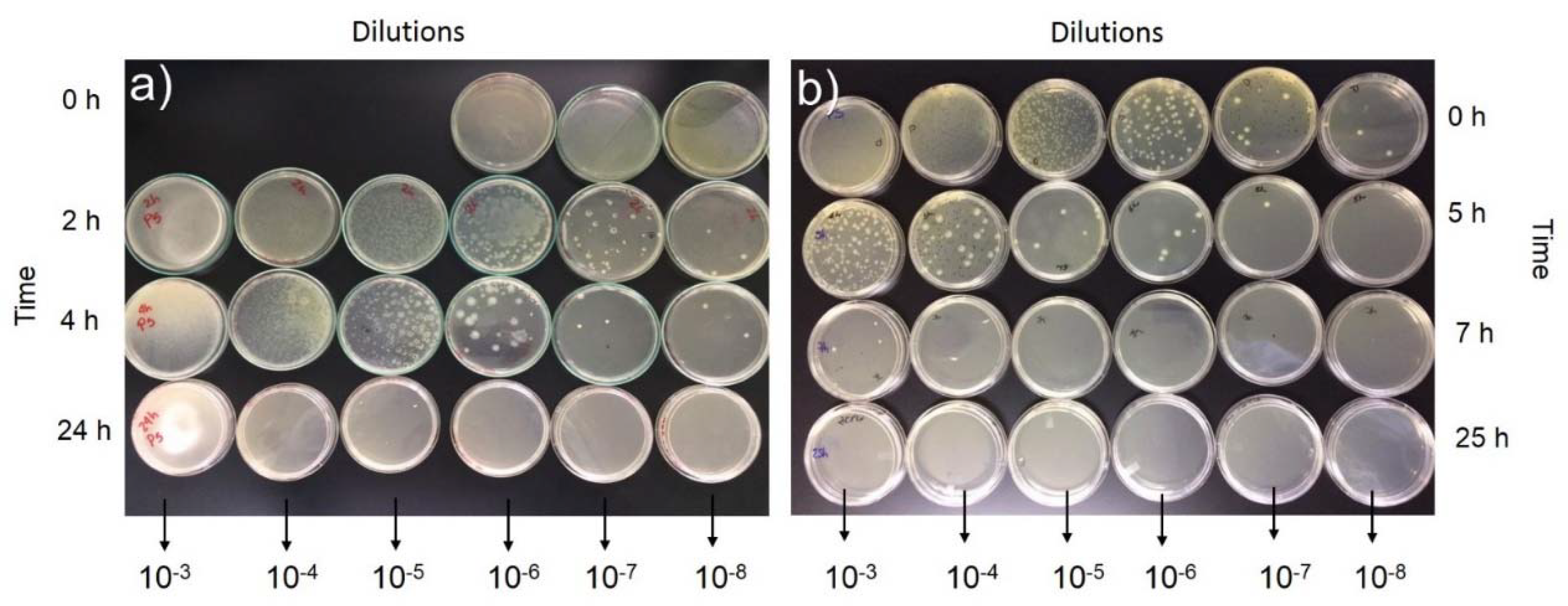 Coatings 10 00157 g010