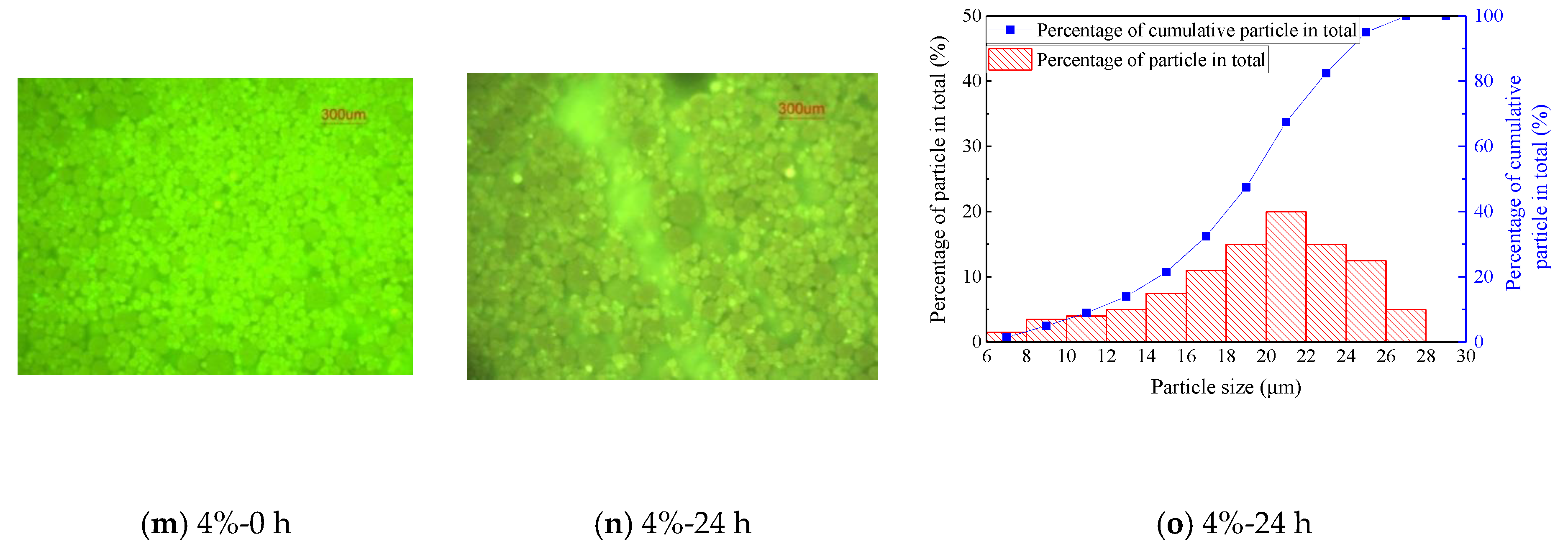 Coatings 10 00352 g002b