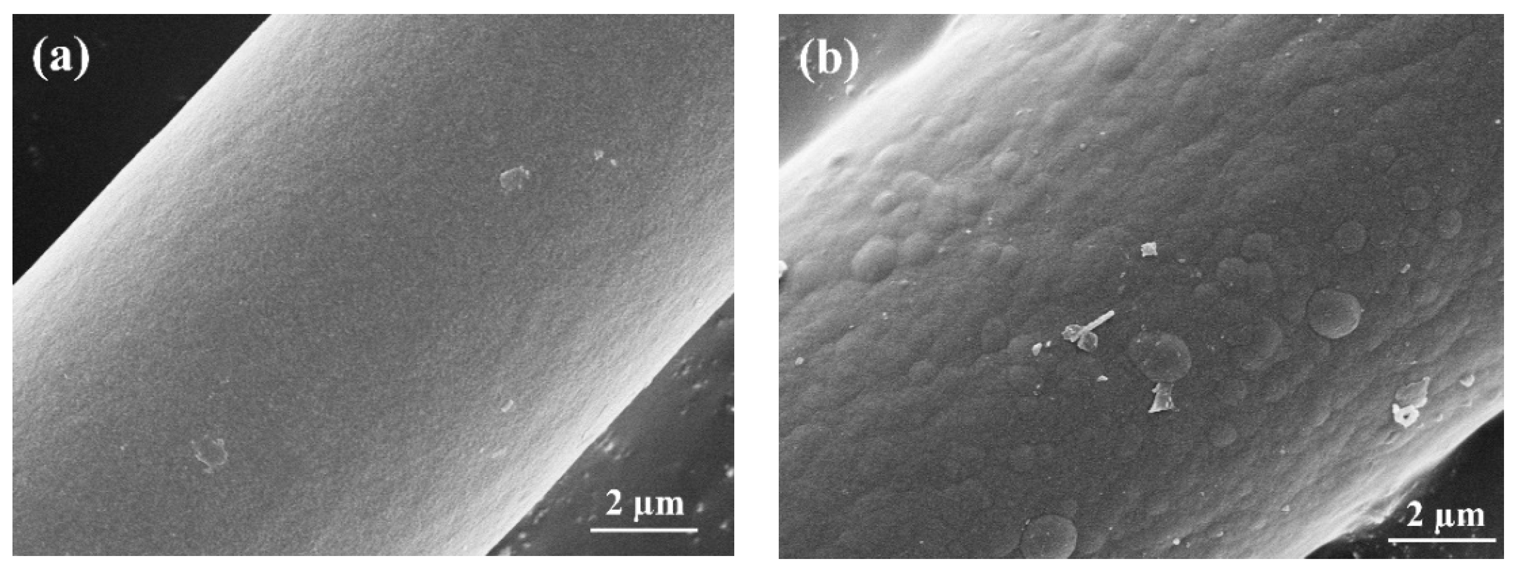Coatings 10 00408 g002