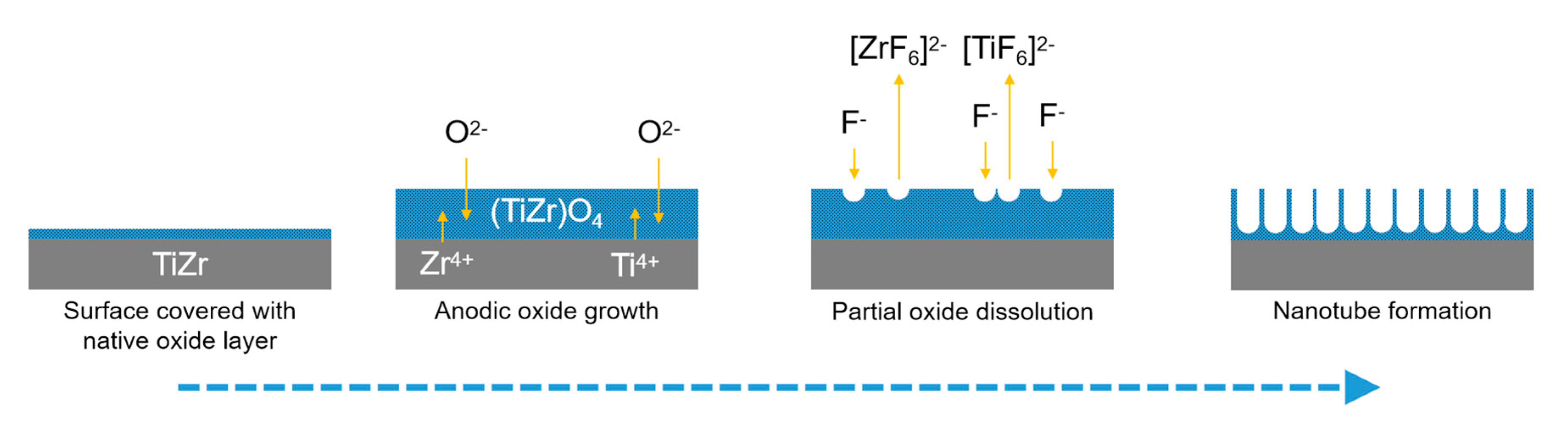 Coatings 10 00422 g003