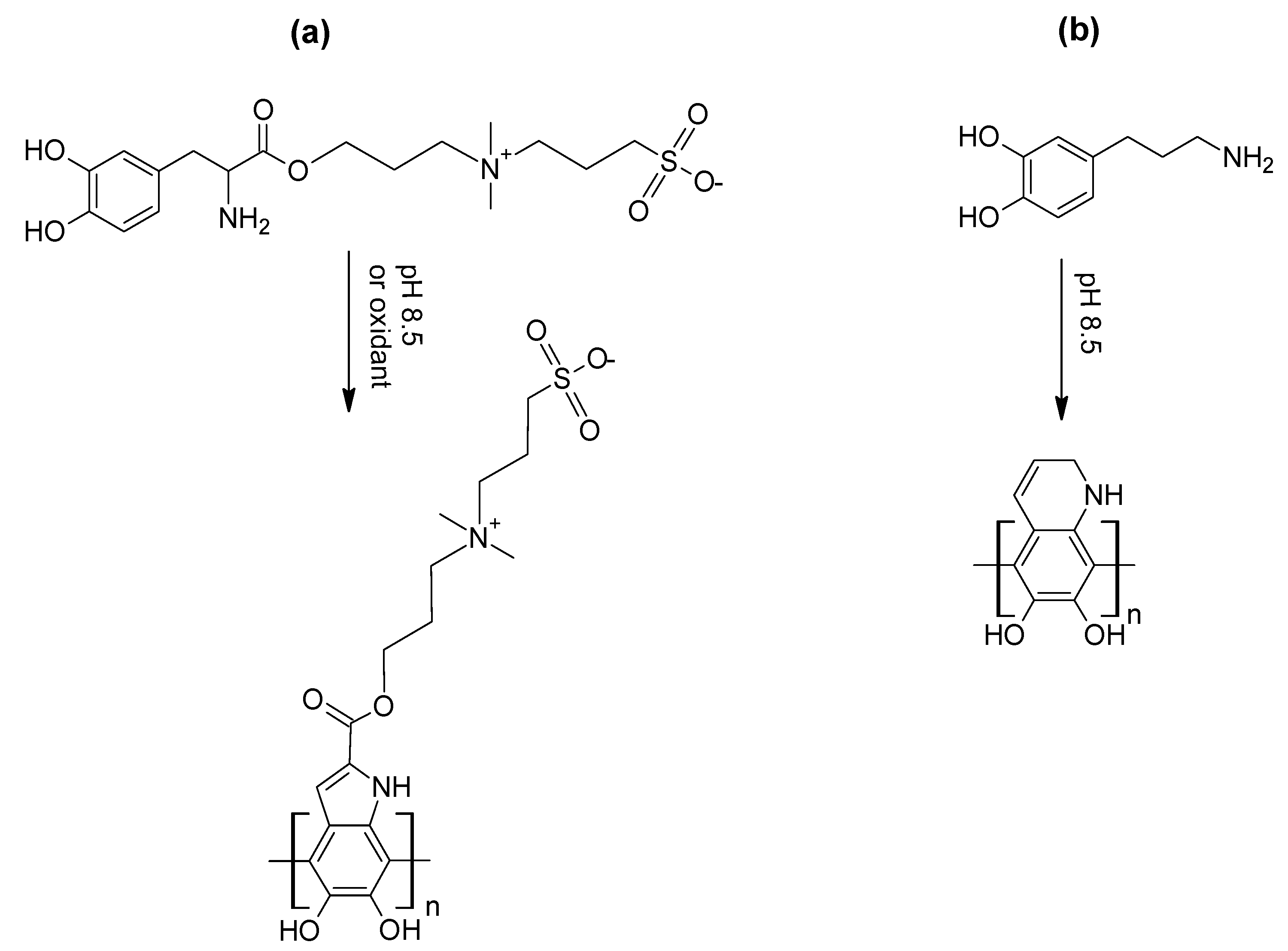 Coatings 10 00653 sch015