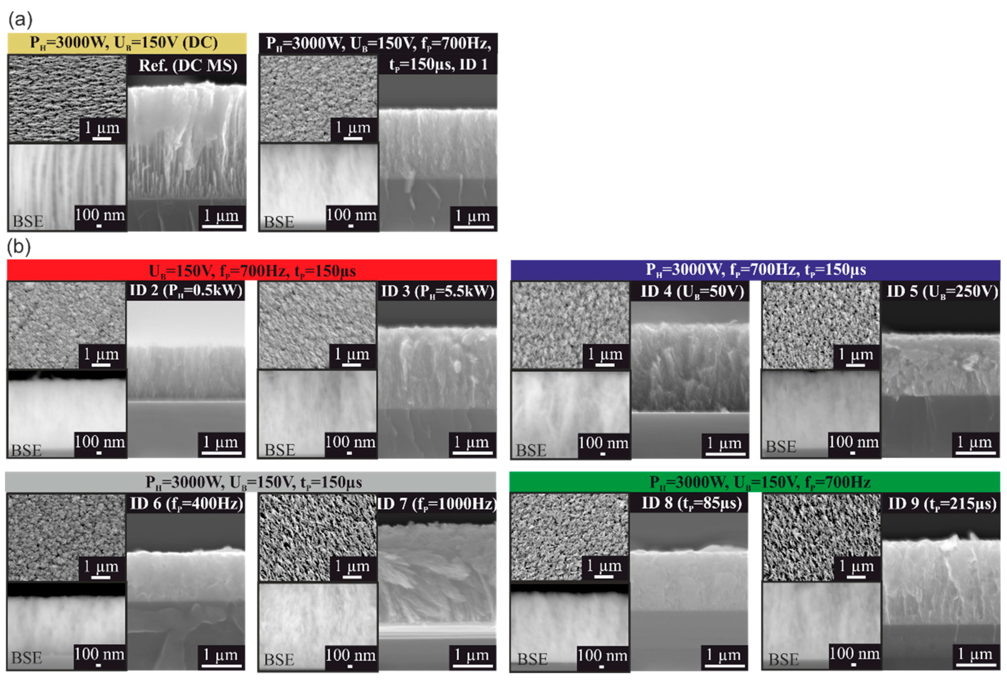 Coatings 10 00755 g002