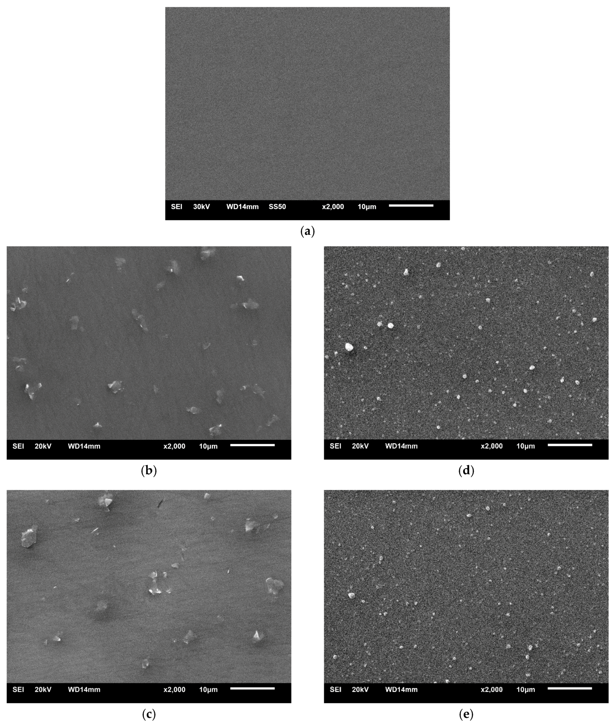Coatings 10 00858 g001