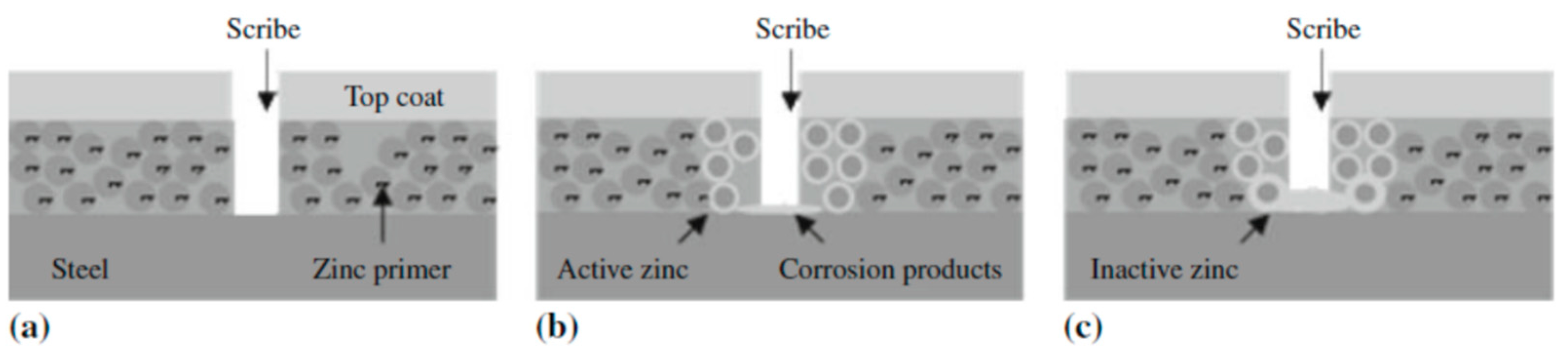 Coatings 10 00916 g003