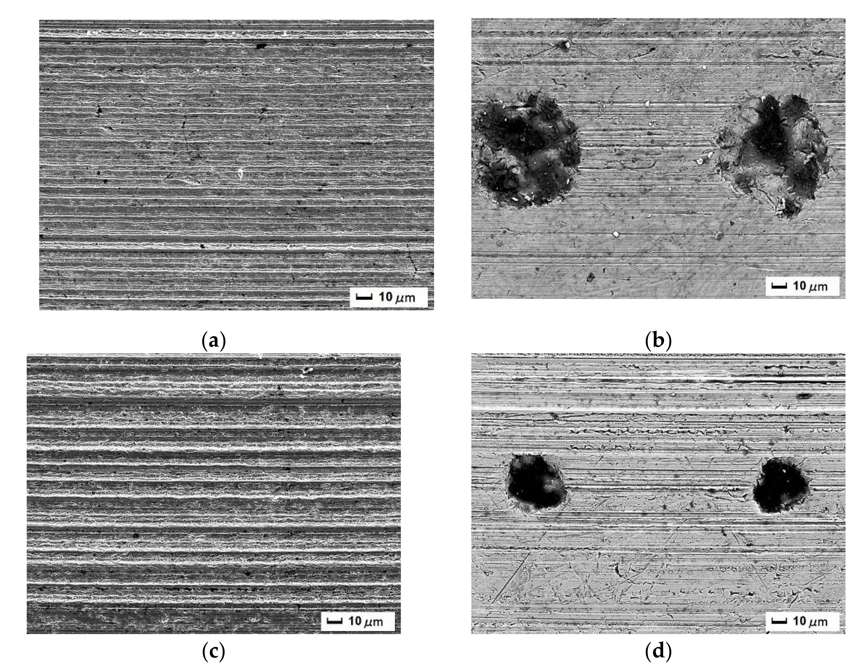 Coatings 10 00929 g011