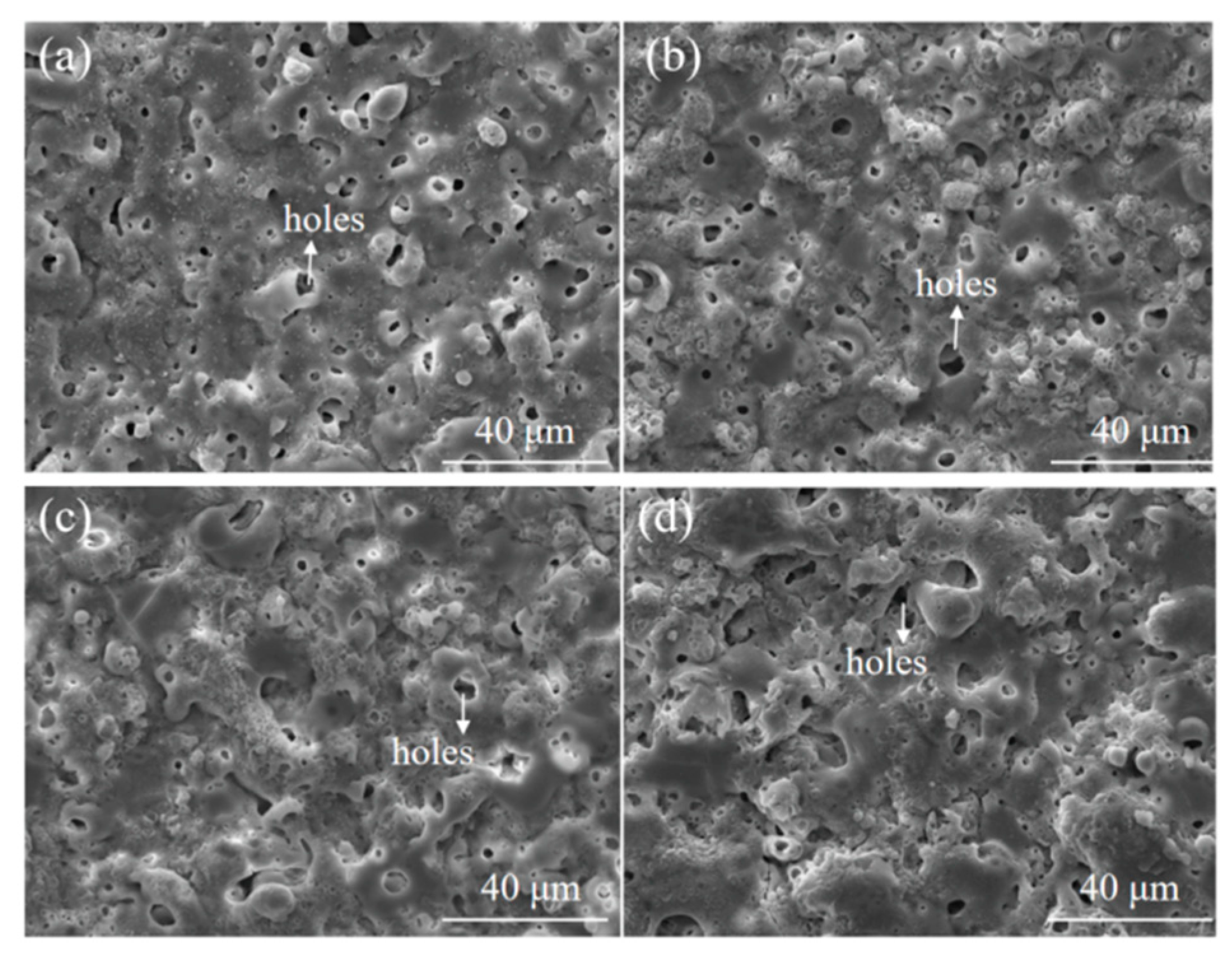 Coatings 11 00453 g006 Coatings 11 00453 g006