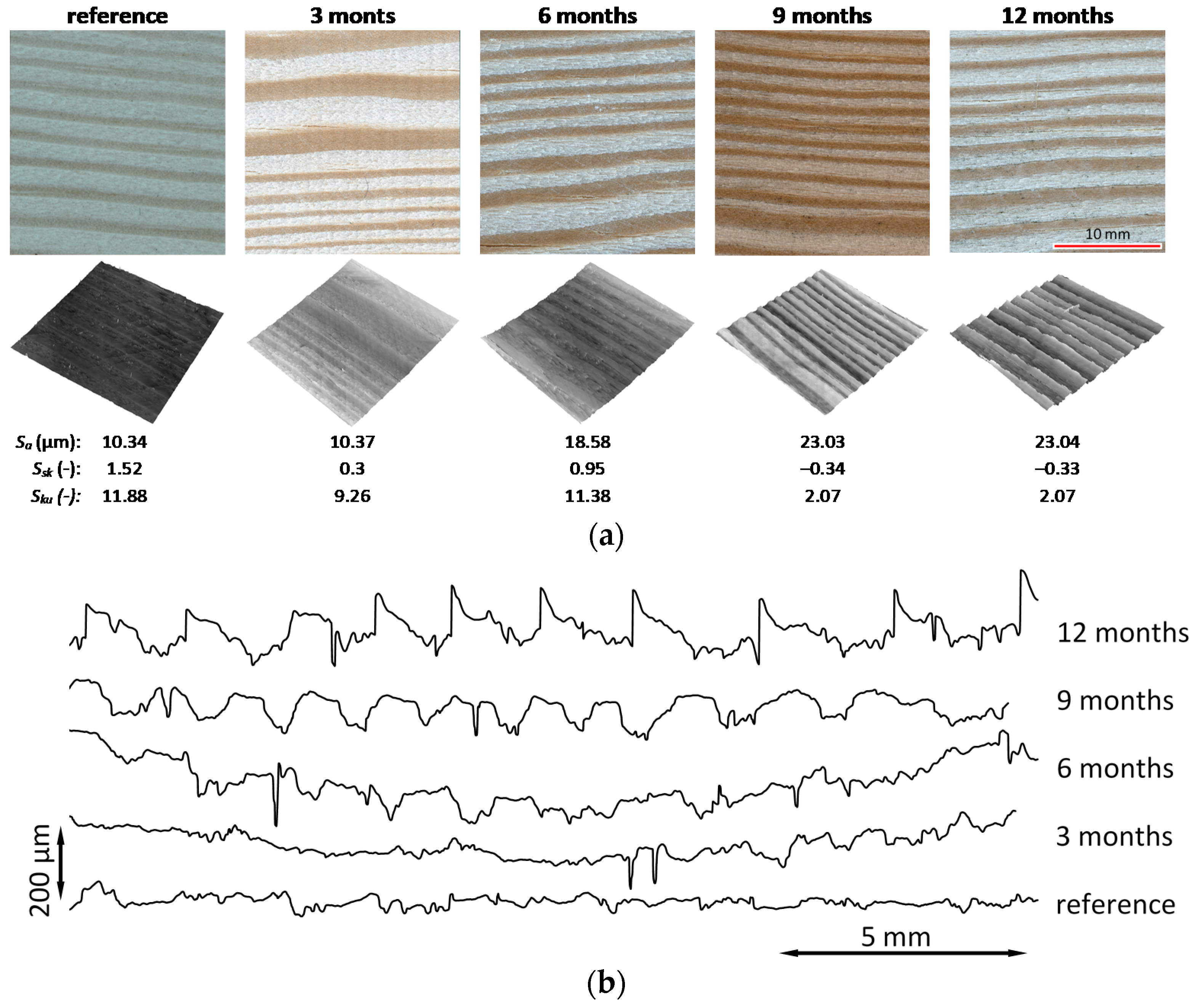 Coatings 11 00701 g006