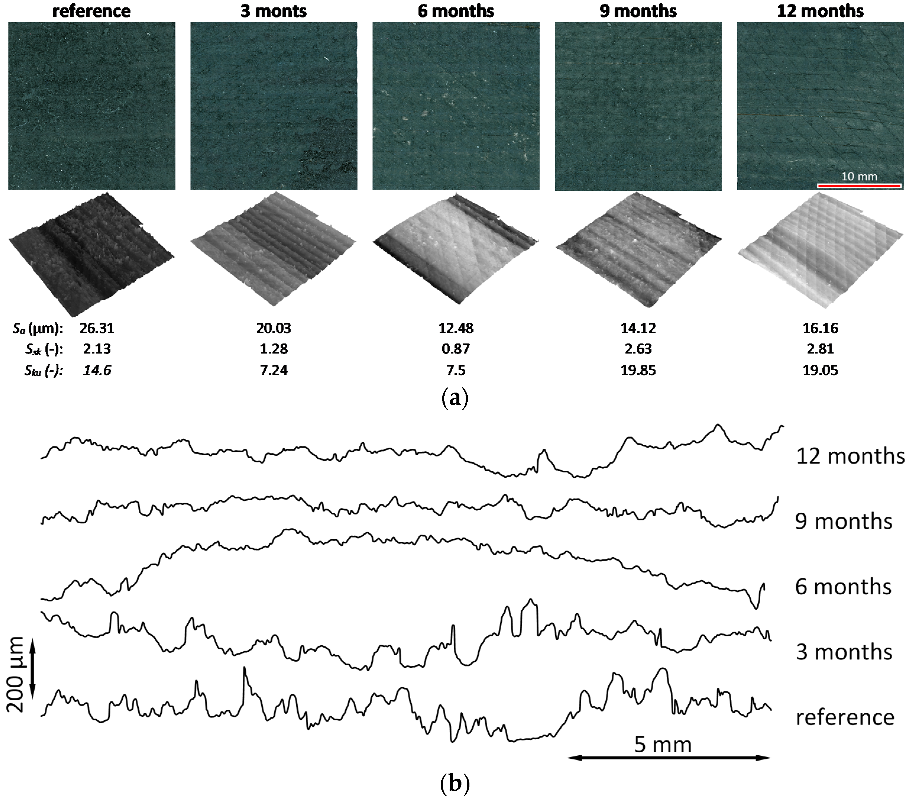Coatings 11 00701 g007