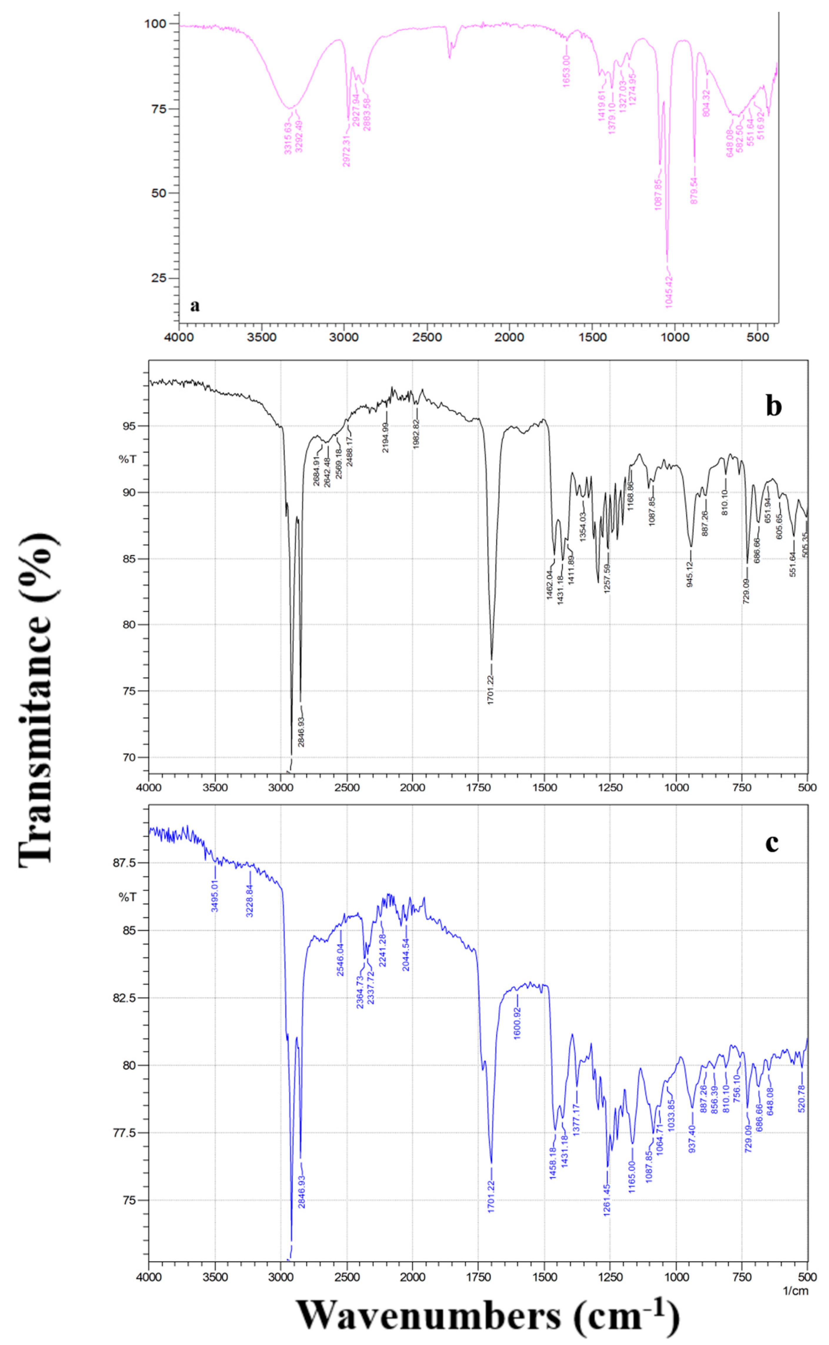 Coatings 11 00971 g008