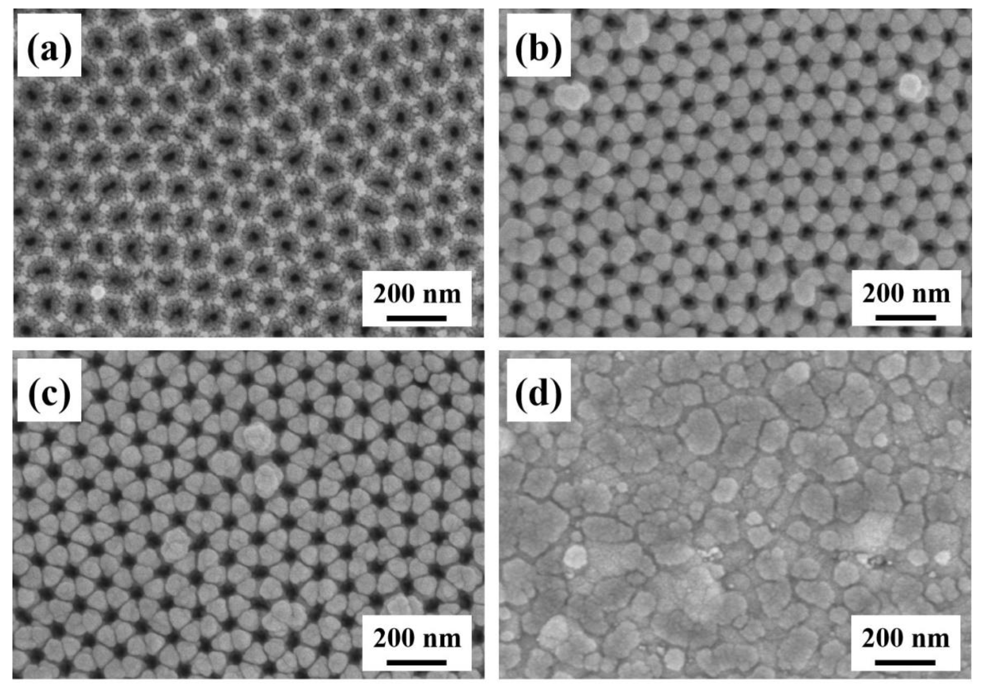 Coatings 11 01054 g004