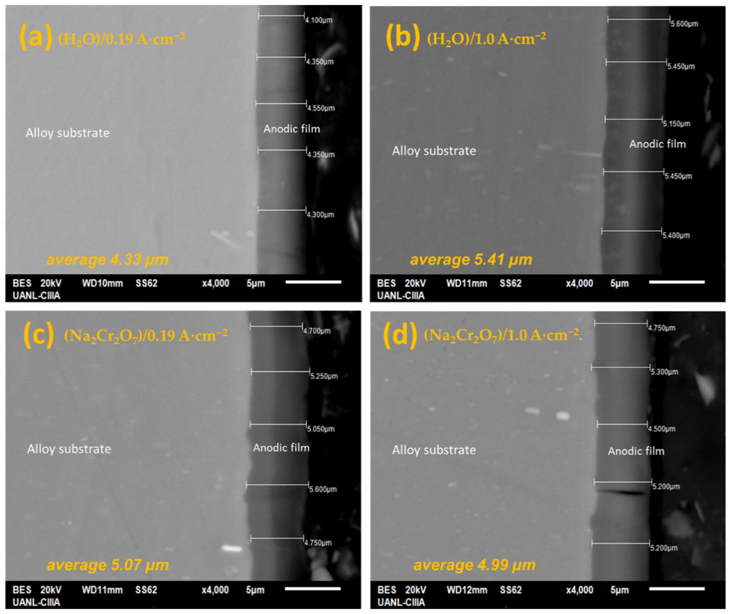 Coatings 11 01278 g002