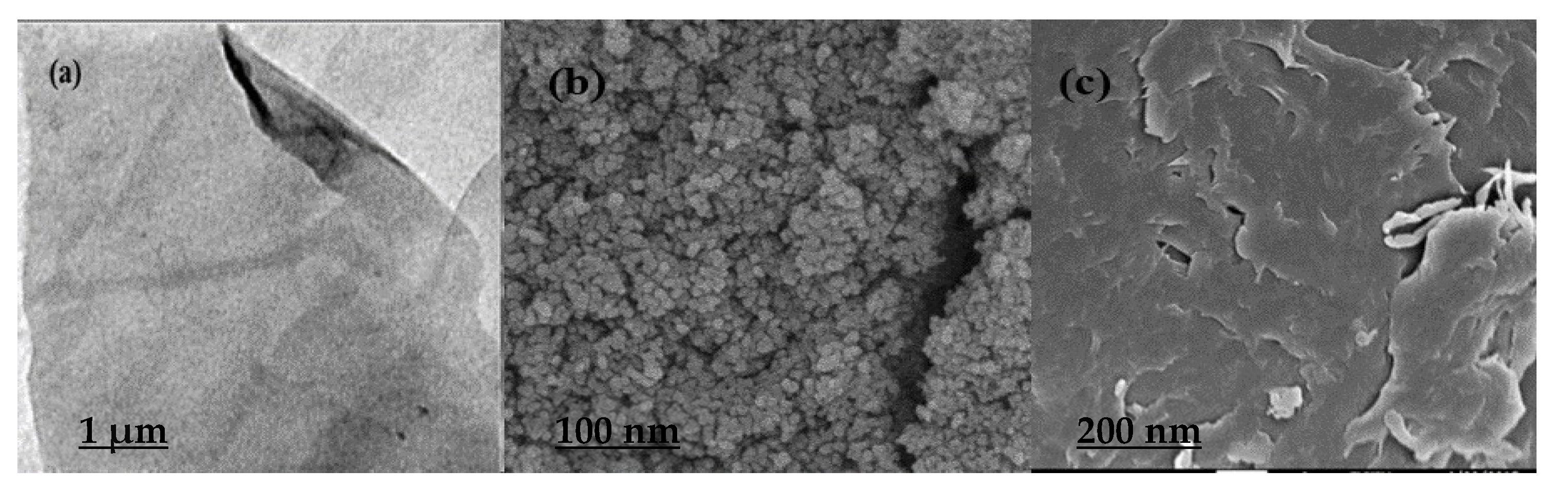 Coatings 11 01346 g002