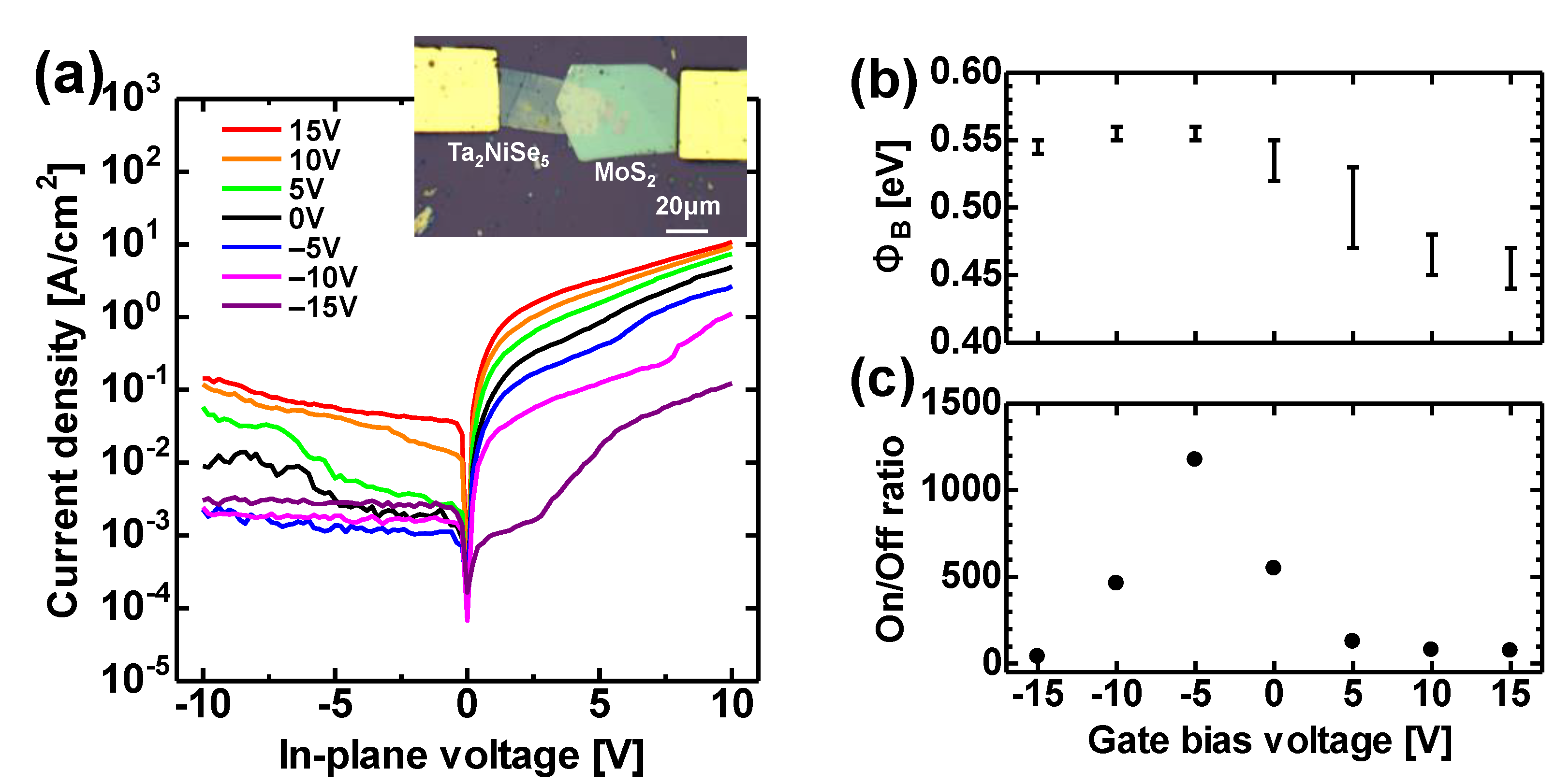 Coatings 11 01485 g004