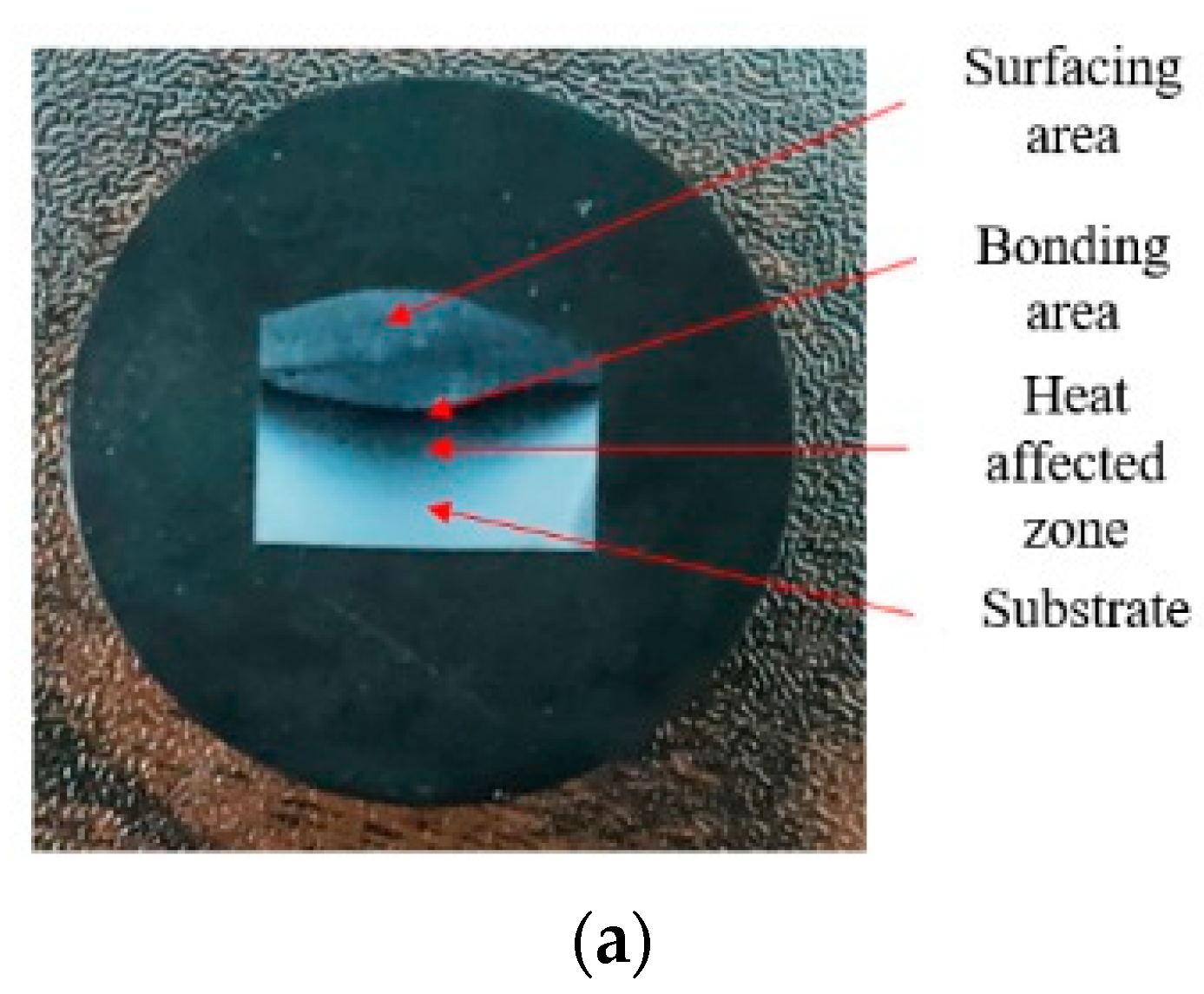 Coatings 11 01559 g005a